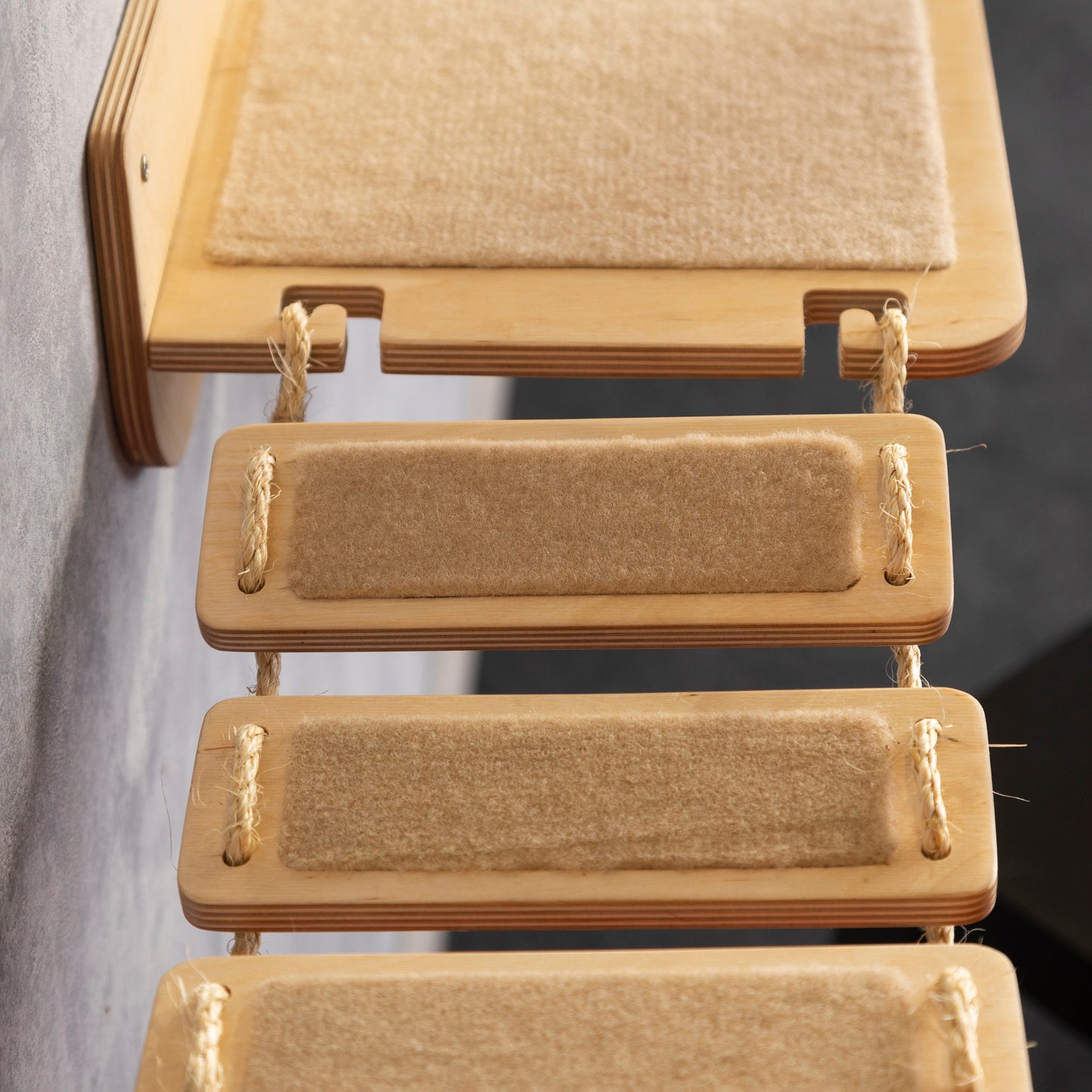 cat bridge, cat shelf, color clear, side view