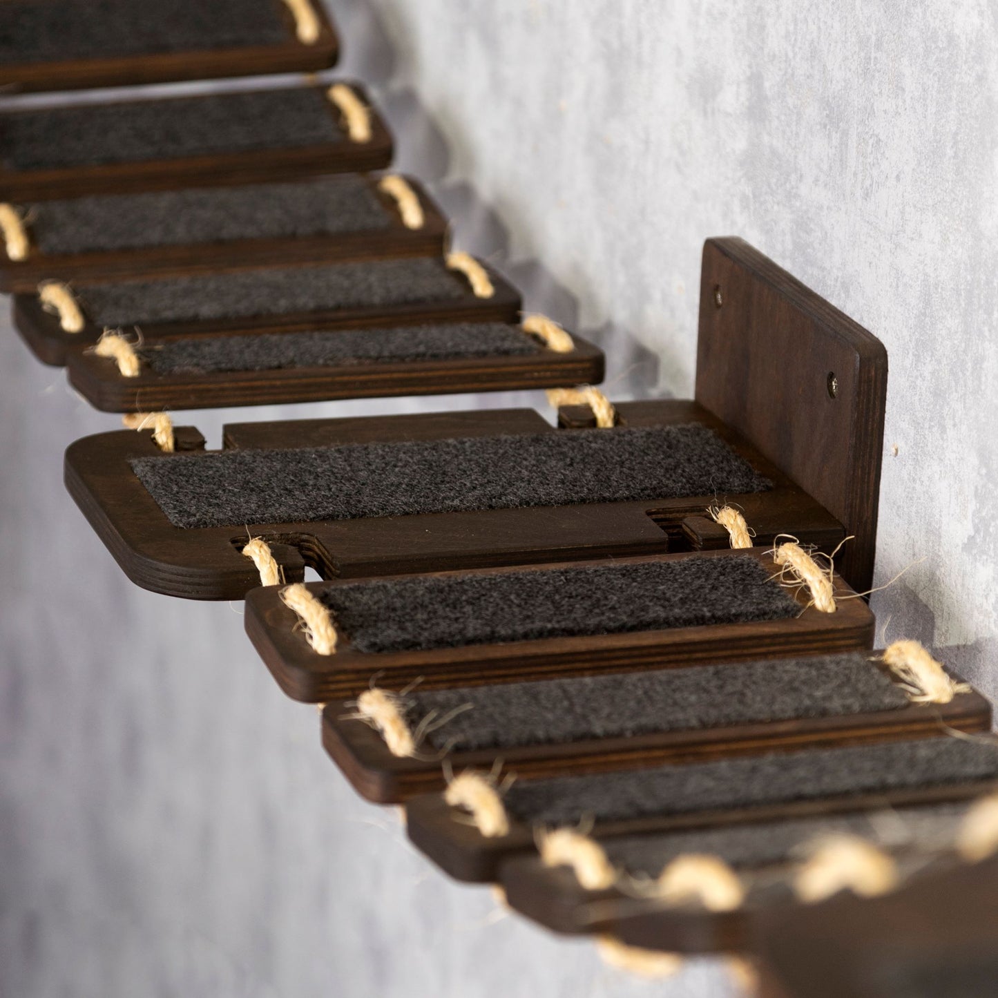 at wall shelves, cat bridge, cat climbing wall, color wenge