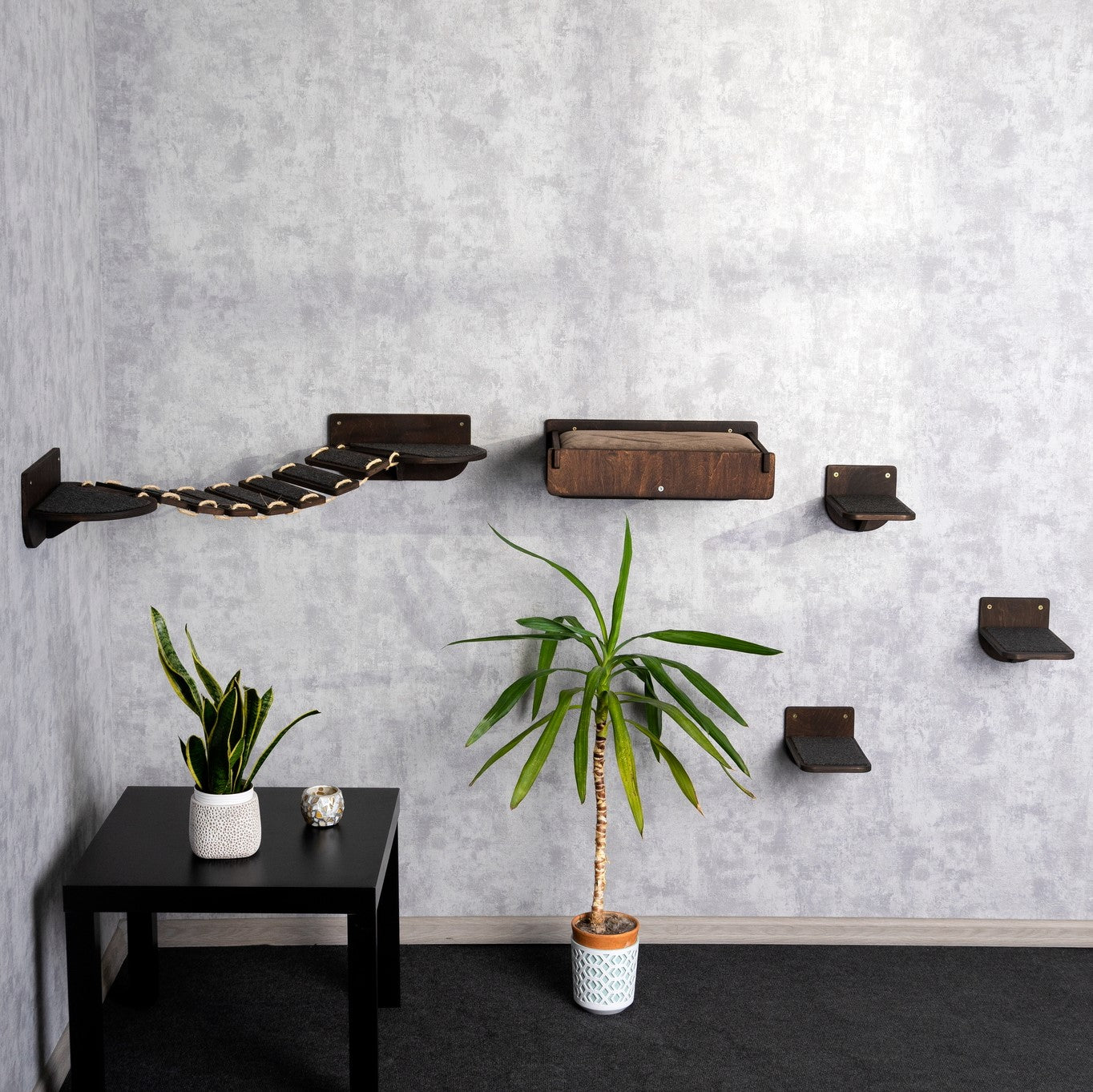 modern cat furniture, cat bed, cat wall shelves, cat steps for wall, elevated cat bed, color wenge, left view