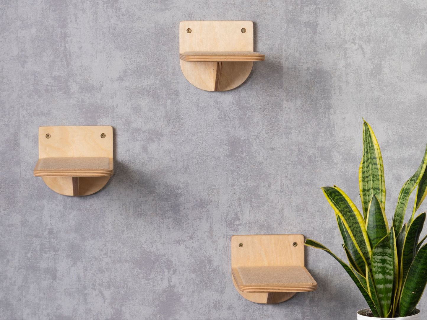 wall shelves, pet steps, cat steps for wall, close-up, color clear
