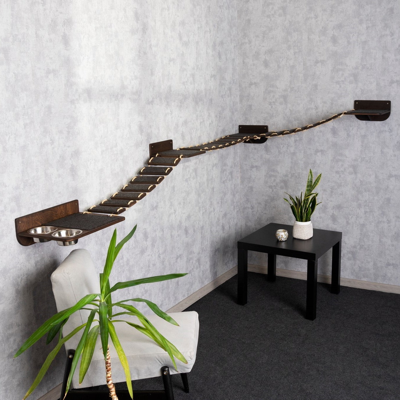 cat shelves wall, car bridge, cat feeder, left bowl