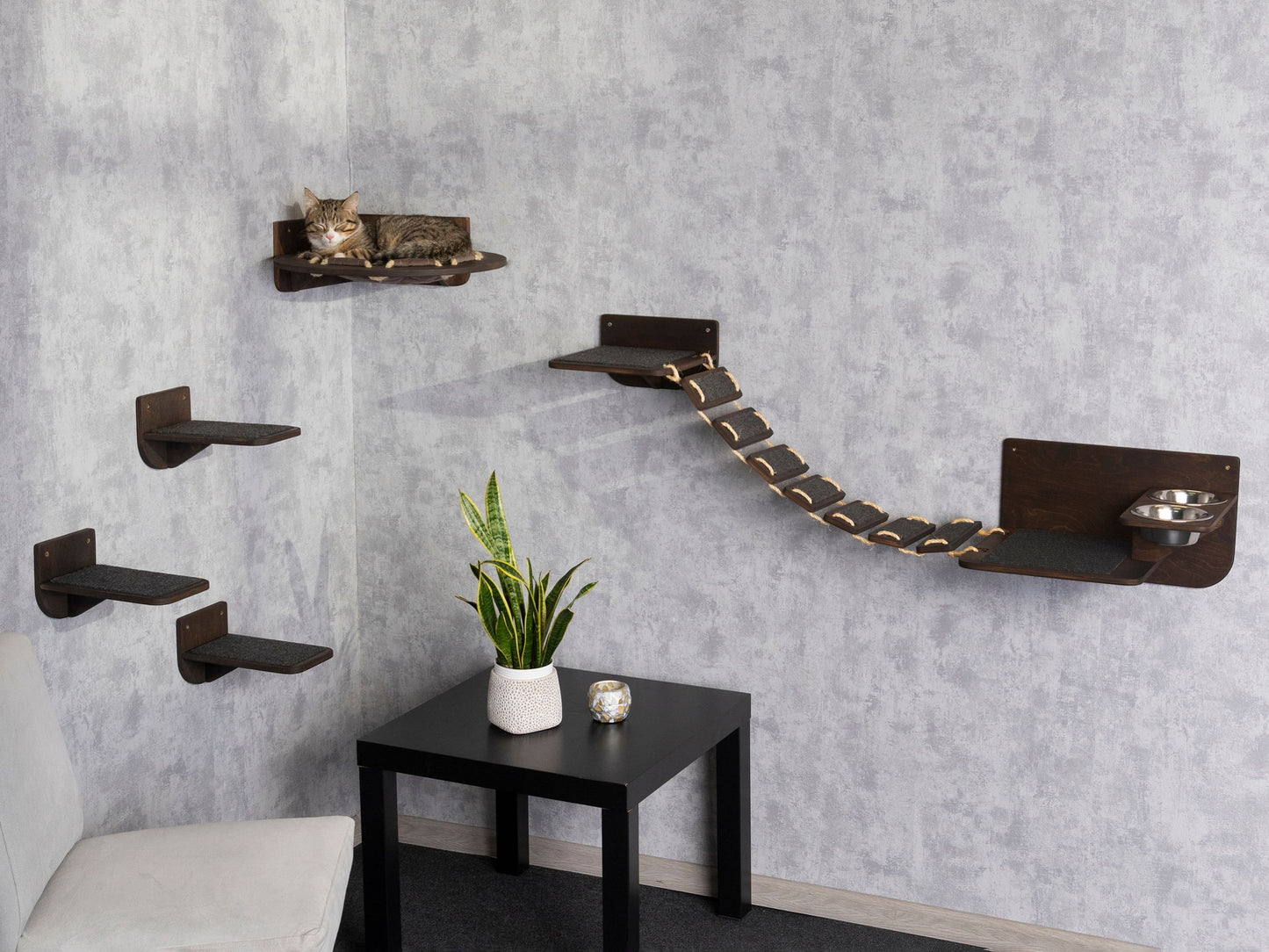 cat wall shelves, cat feeding station, cat hammock, cat steps for wall, cat bridge, long shot