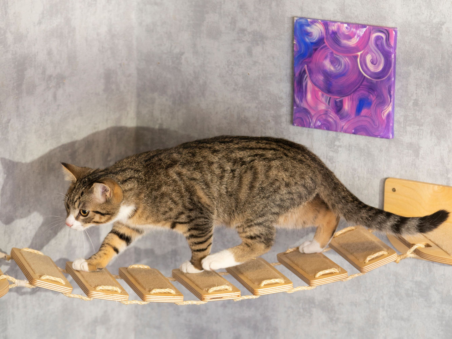 cat furniture wall