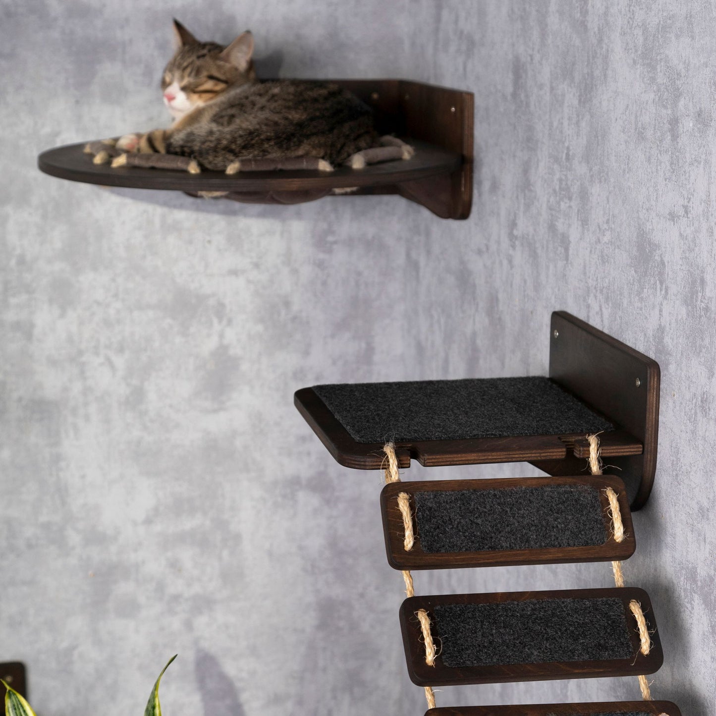 floating shelf, cay climbing wall, cat bridge, cat shelf, cat hammock, donut cat bed
