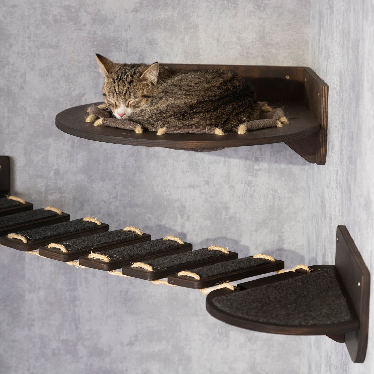 cat hammock, cat bridge, donut cat bed, wall shelves, cat bed elevated