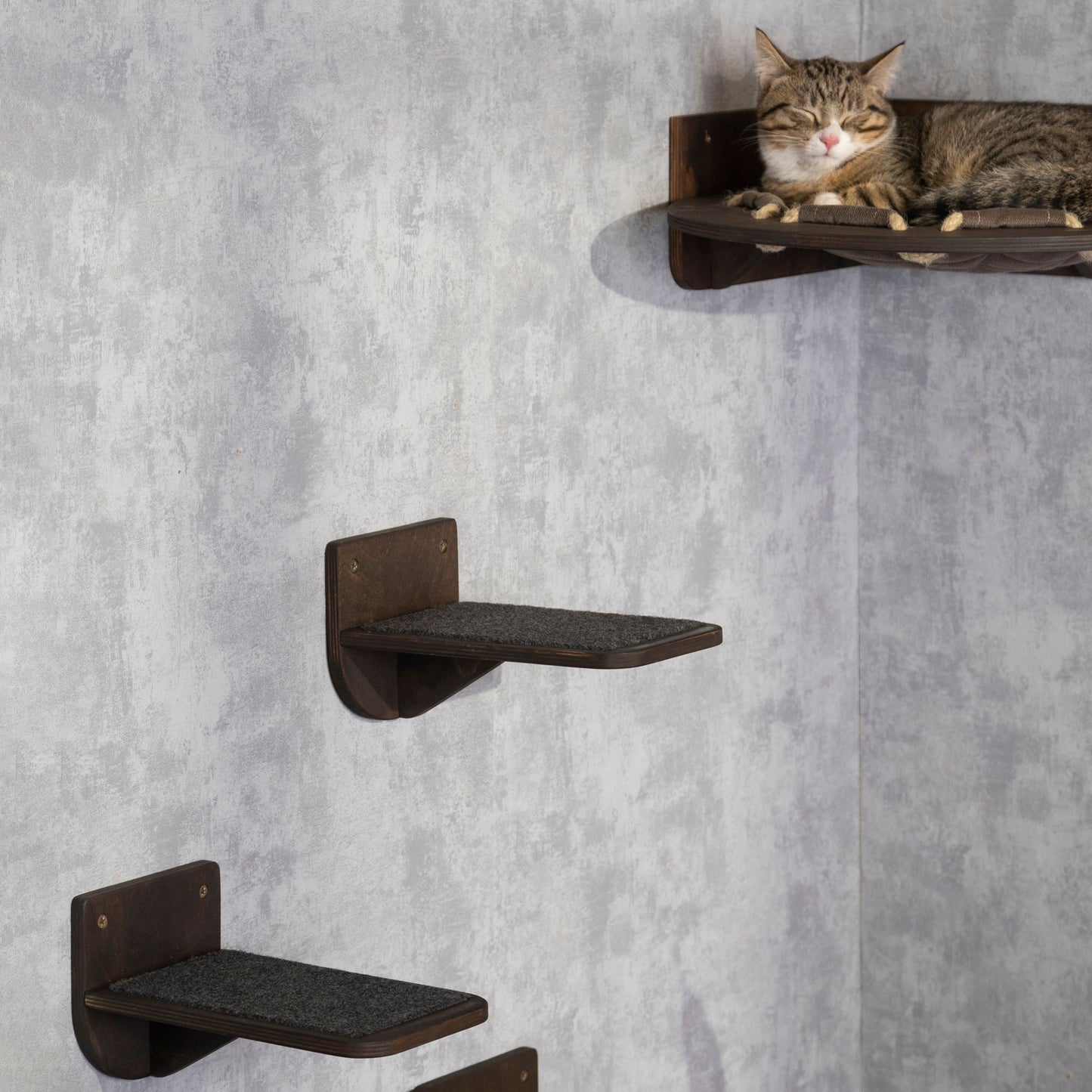 cat wall furniture - pet steps, cat hammock, donut cat bed, cat steps for wall