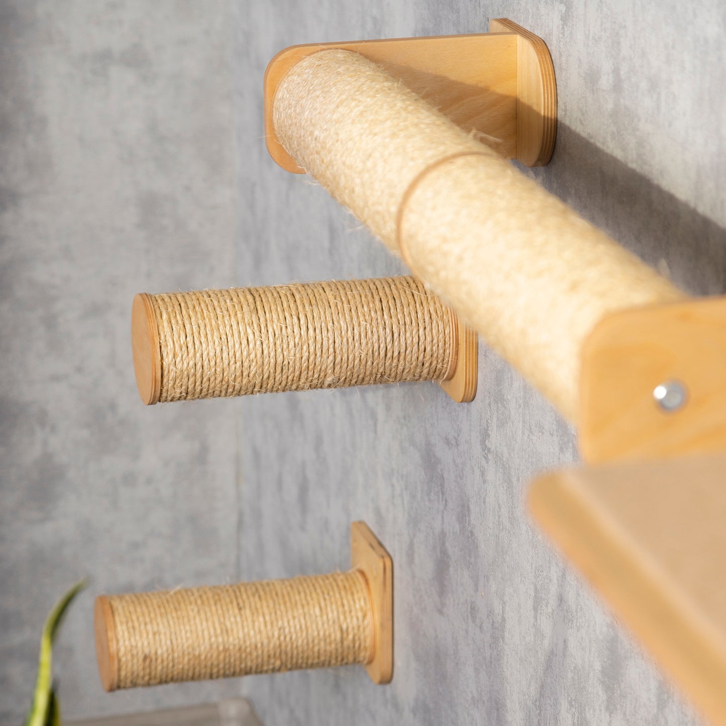 wall shelves, cat steps, cat perches, cat scratchers
