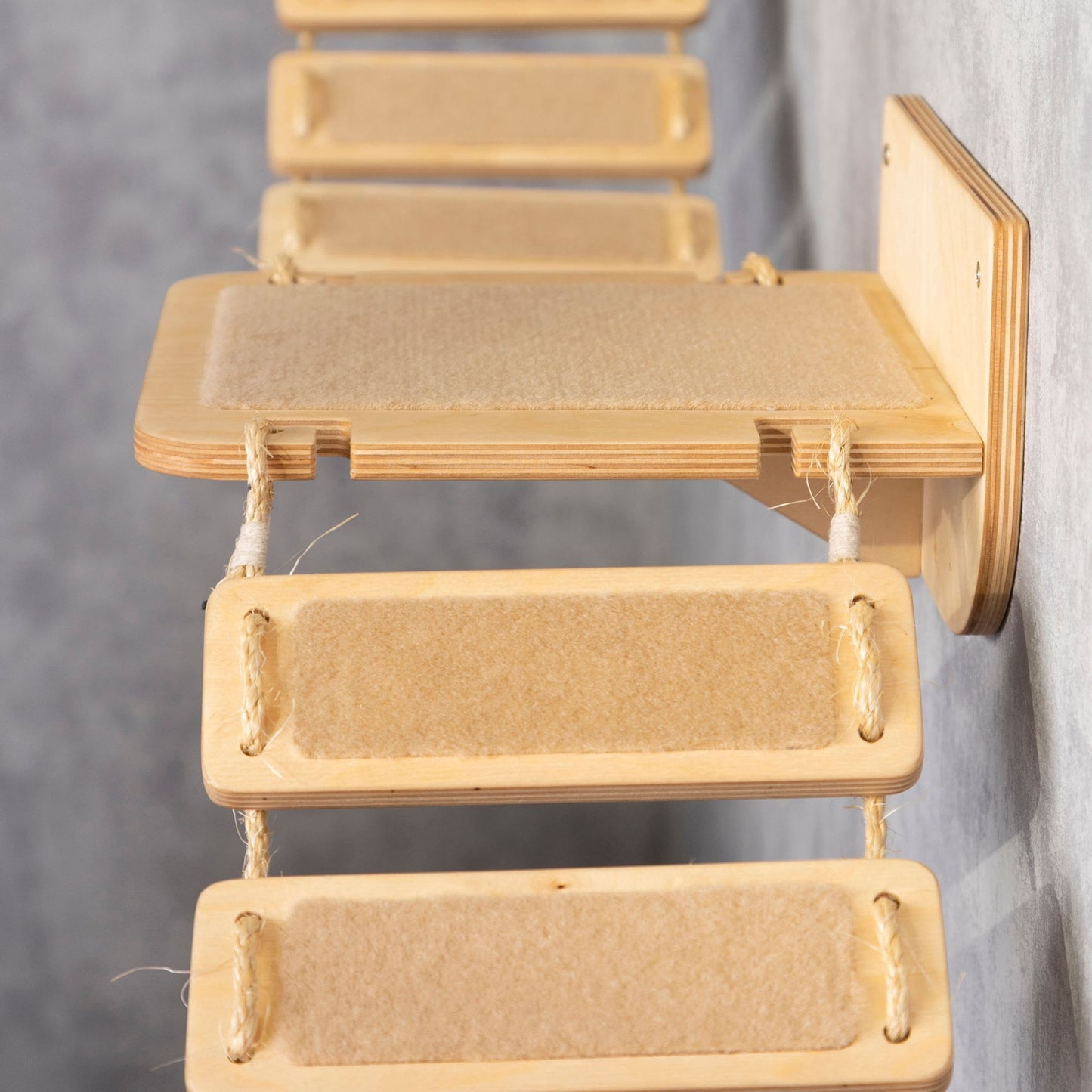 cat wall furniture, wall shelves, cat bridge, ladder shelf