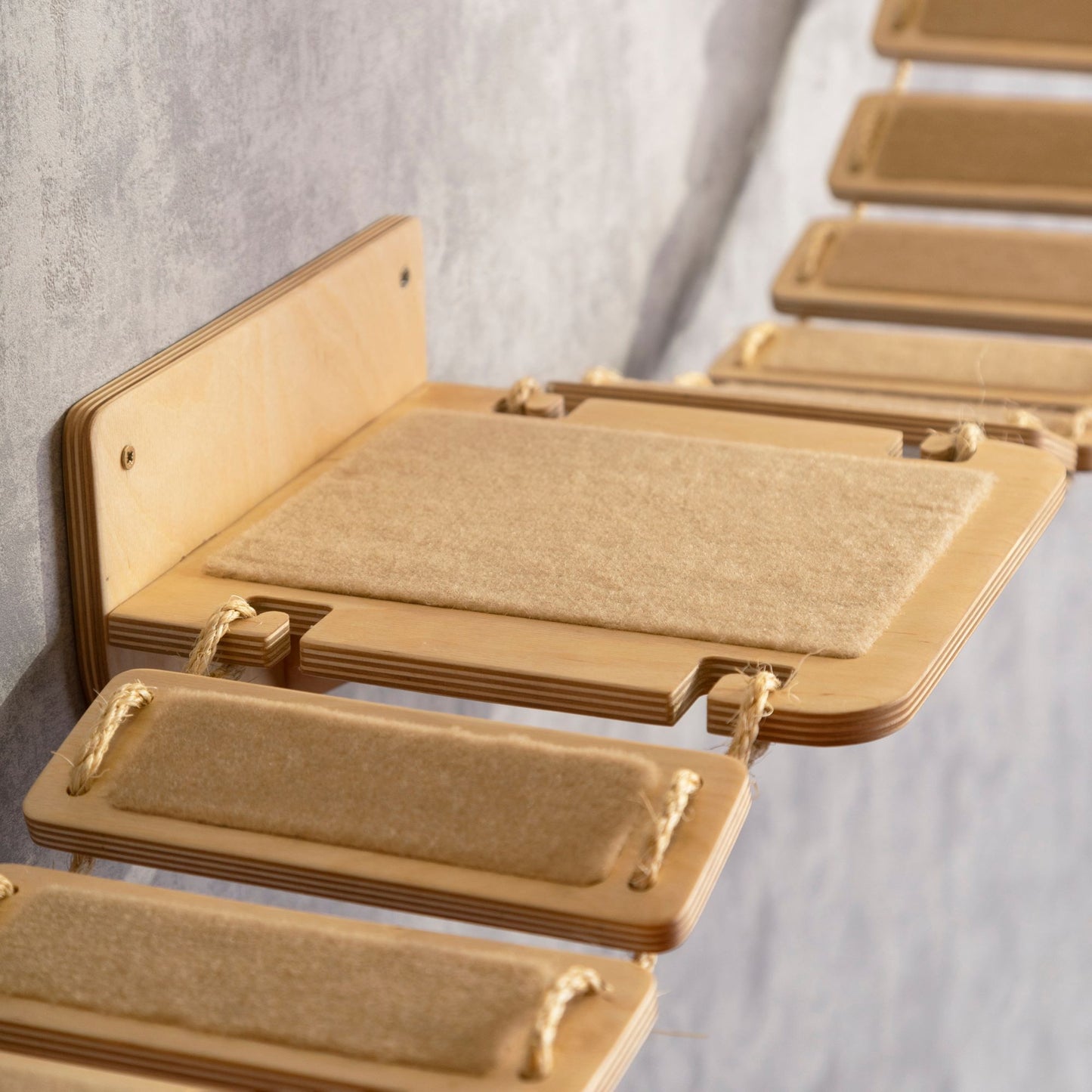 cat wall furniture -wall shelves, cat bridge, cat climbing wall, color clear