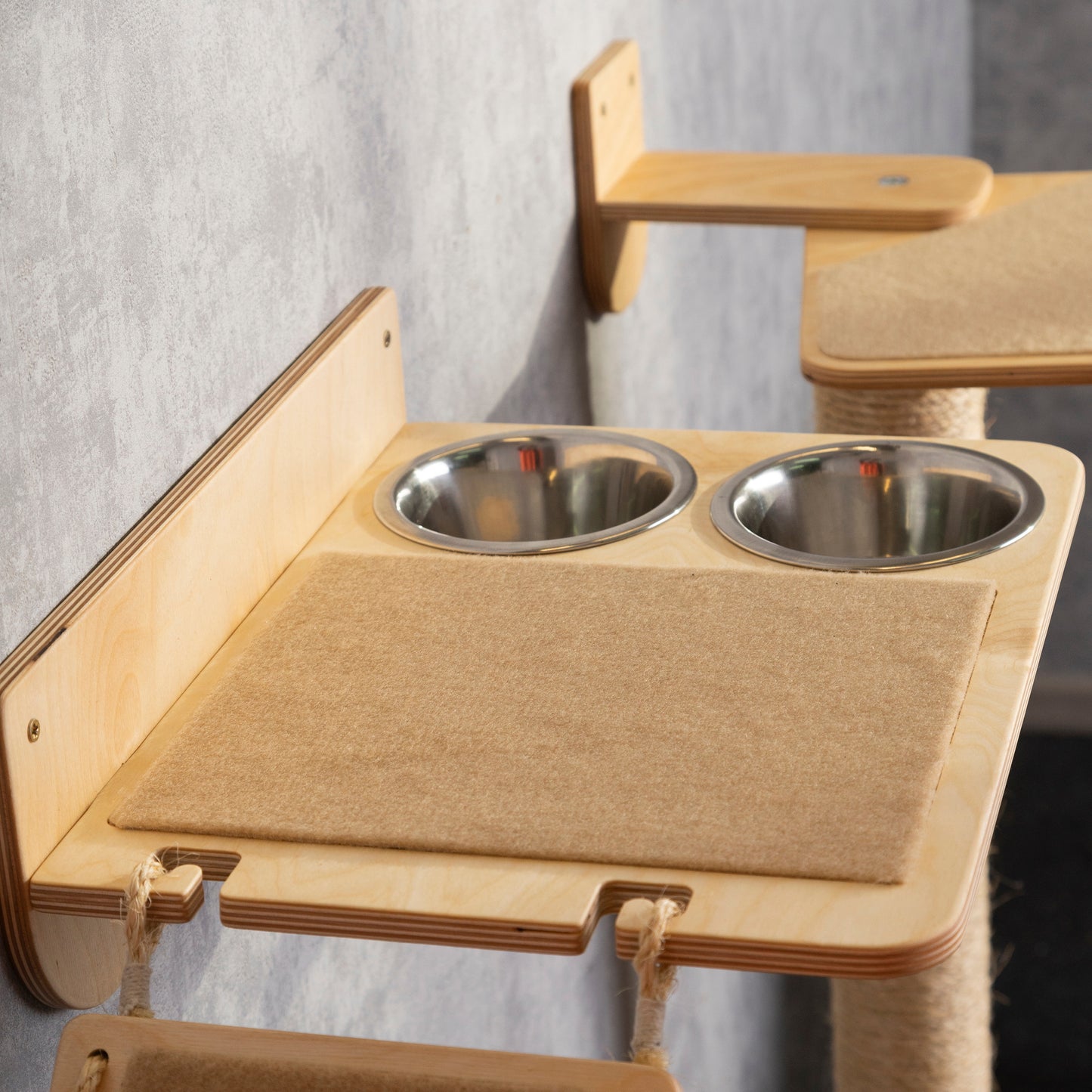cat feeding station