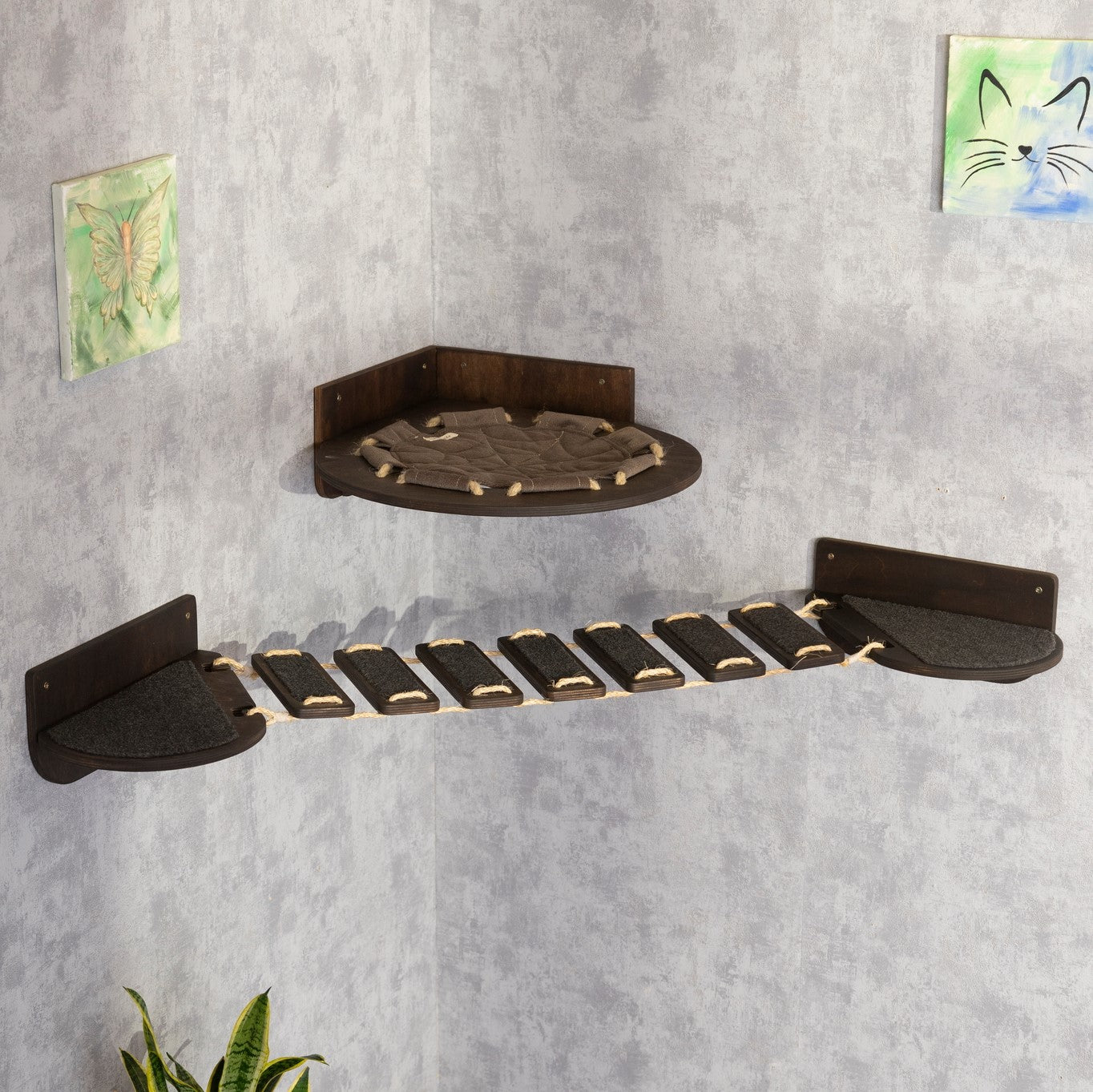 cat hammock, cat bridge, wall shelves, wall cat scratcher, wicker cat bed, color wenge
