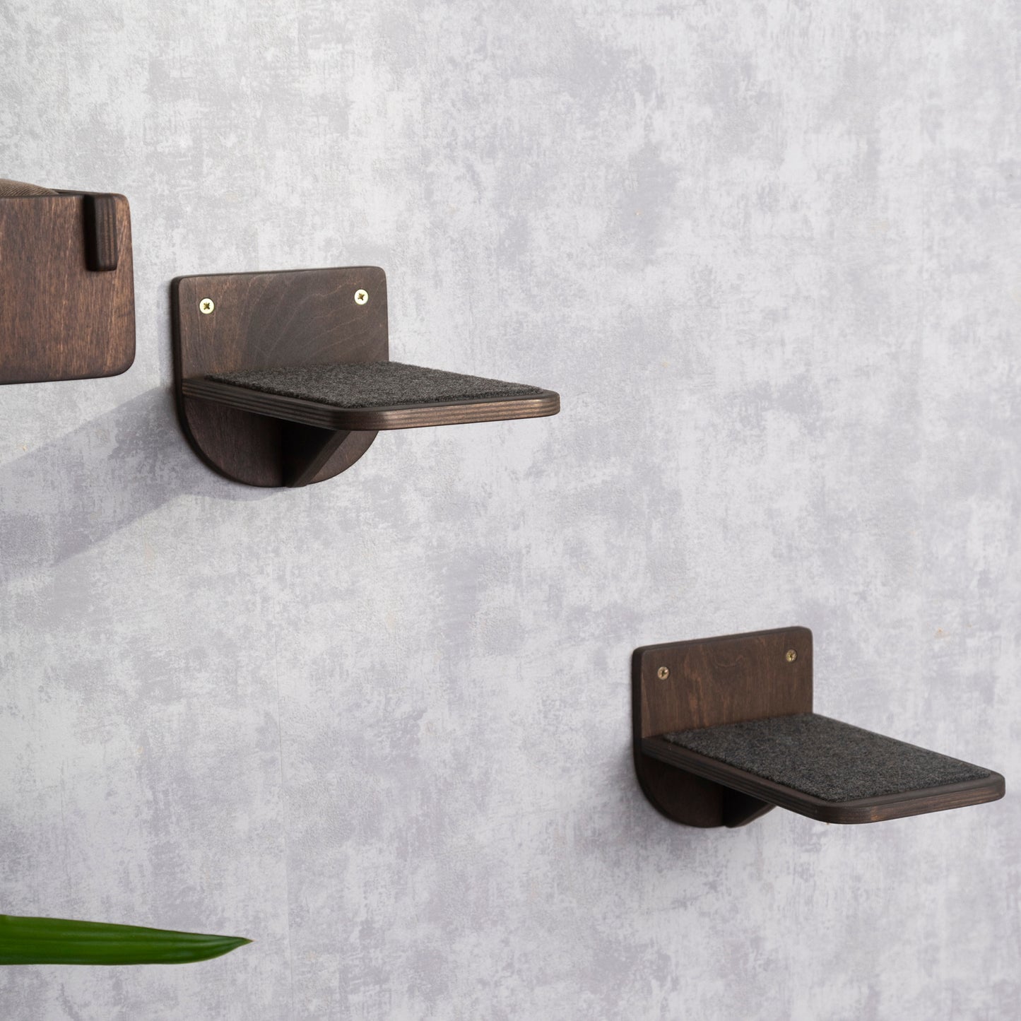 shelves for cats, color wenge