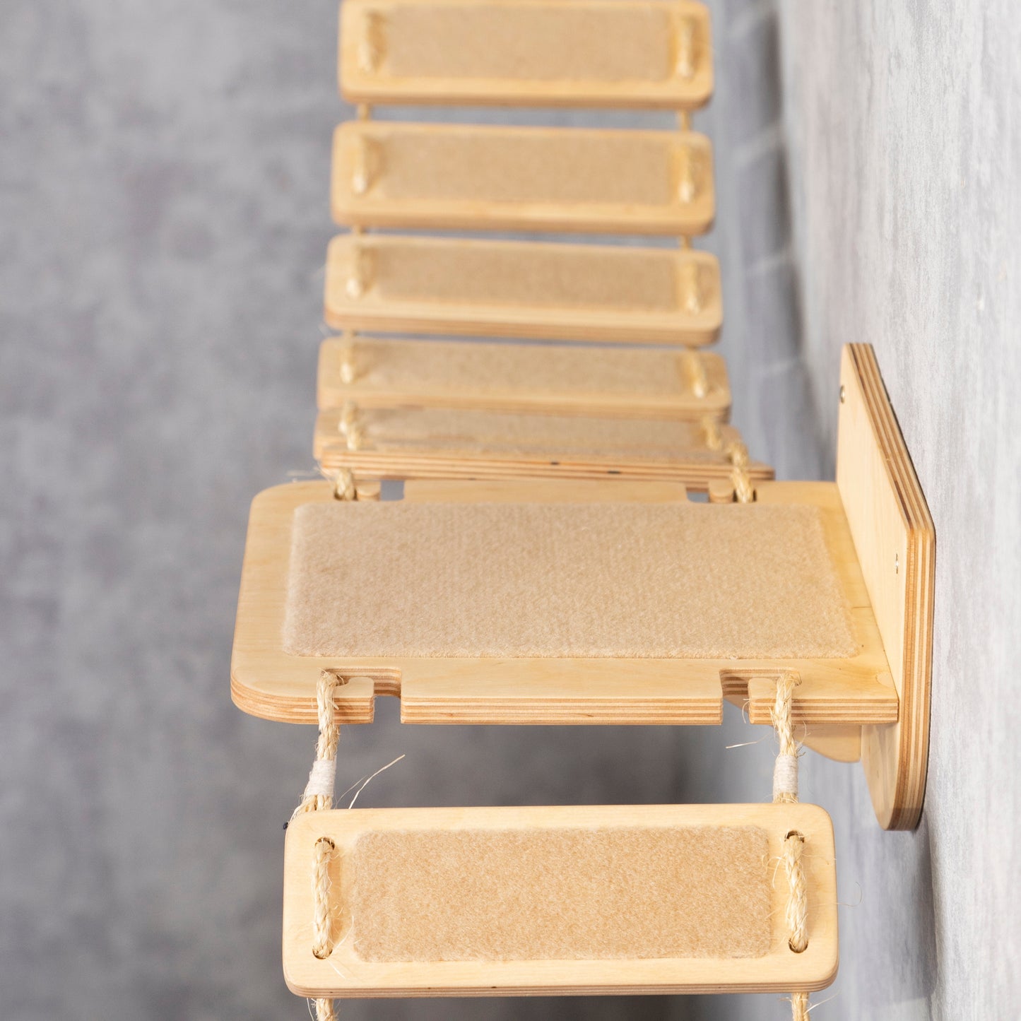 cat furniture wall, wall shelves, cat bridge, floating shelf, ladder shelf, color clear, side view, right side