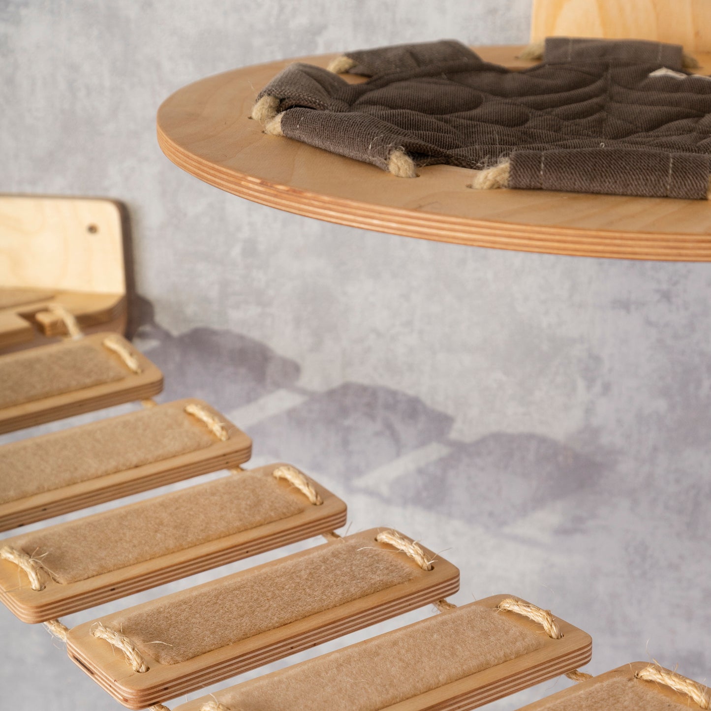 cat climbing wall, wall shelves, cat bridge, cat hammock, donut cat bed, elevated cat bed