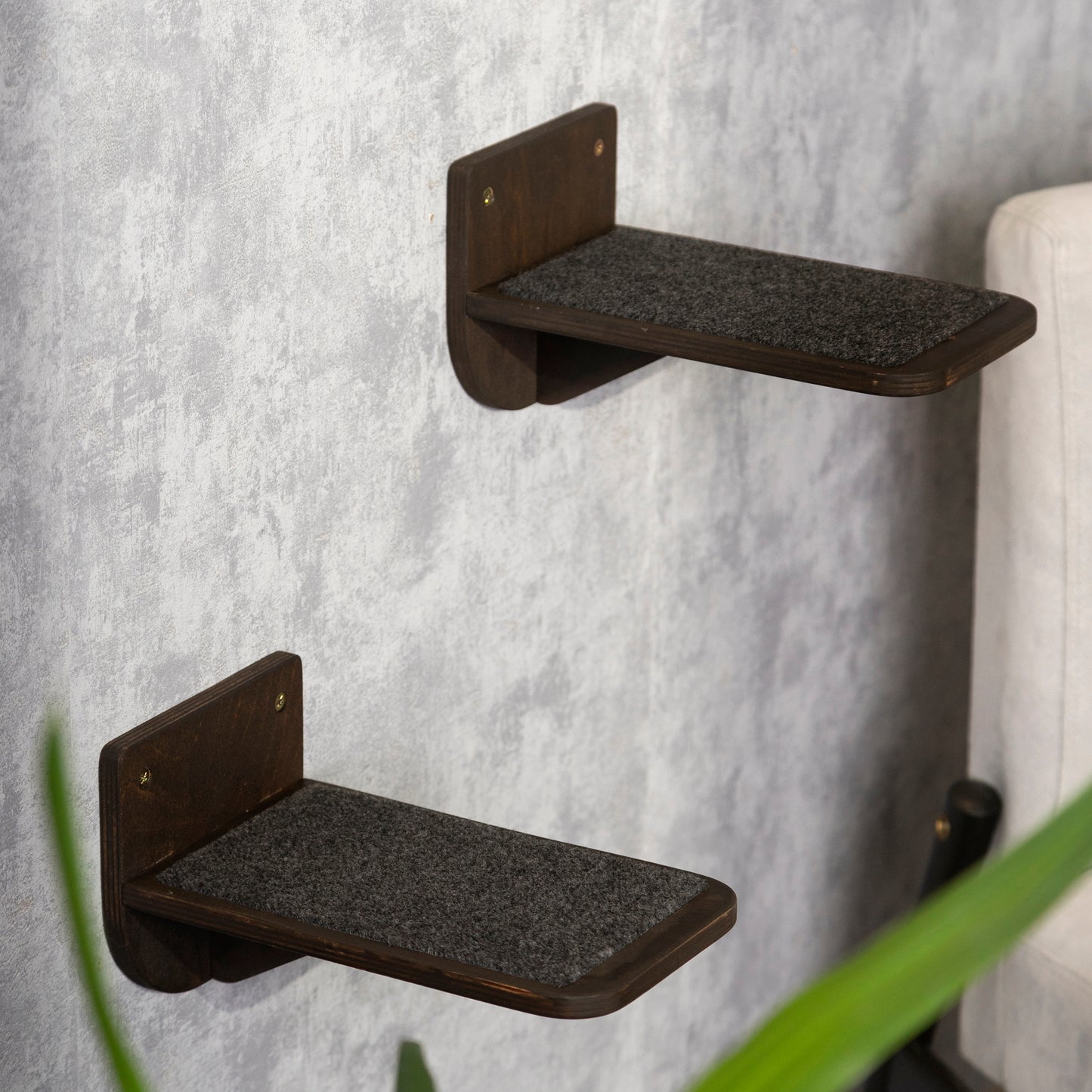 modern cat shelves, cat shelves wall, left view, two wood steps for wall, color wenge