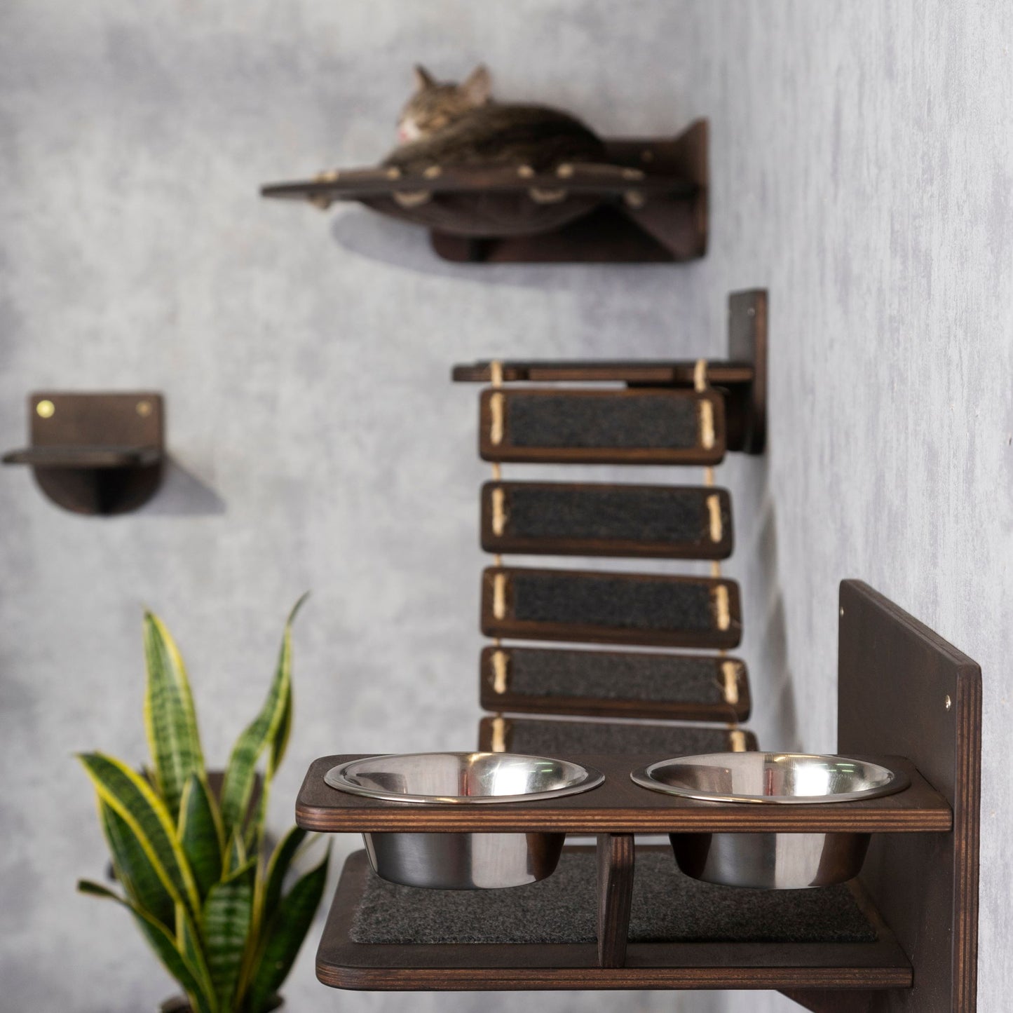 cat wall shelves, cat slow feeder, pet steps, cat food bowl, cat bridge, donut cat bed, wall shelves