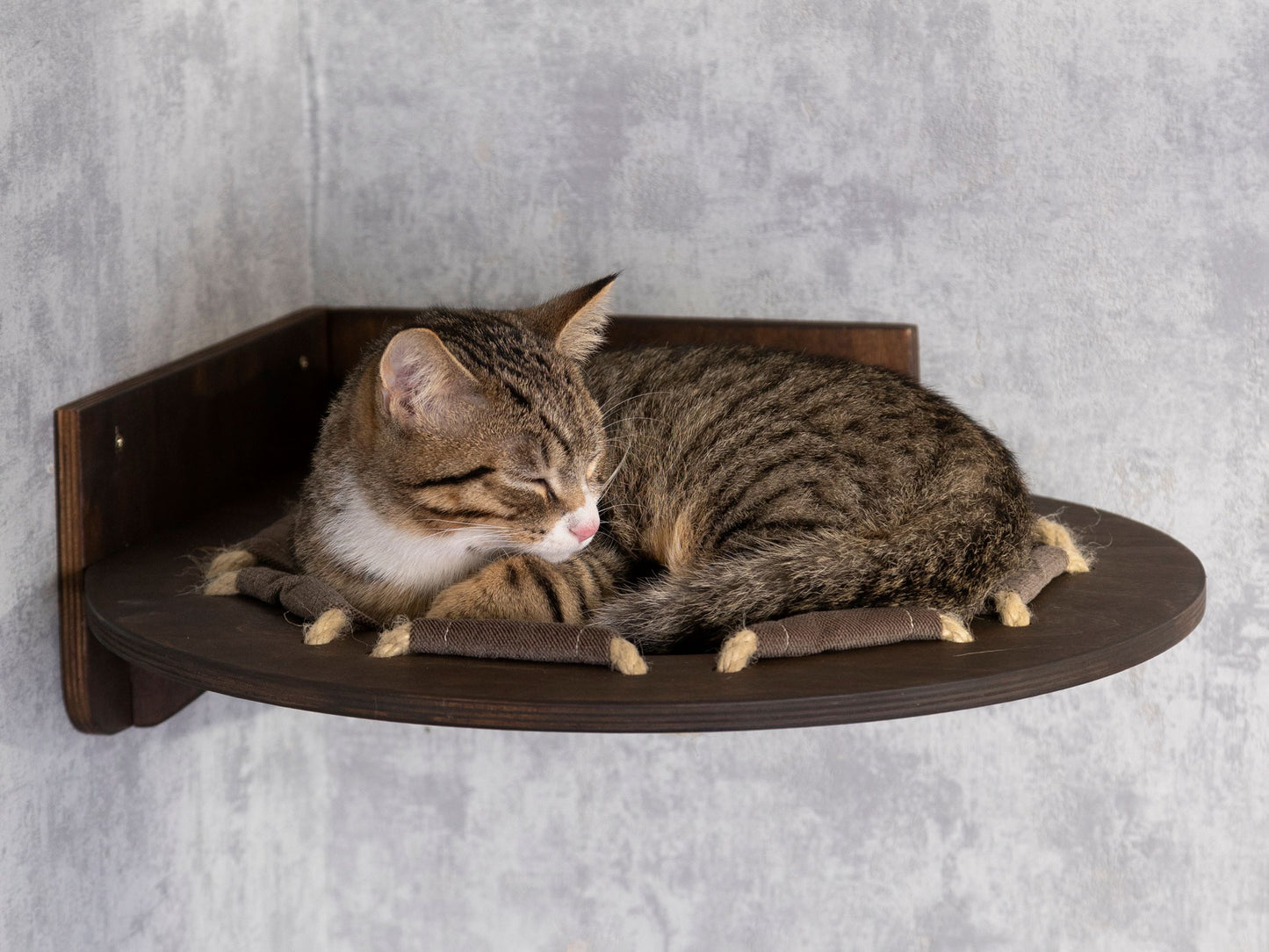 cat hammock, best cat bed
