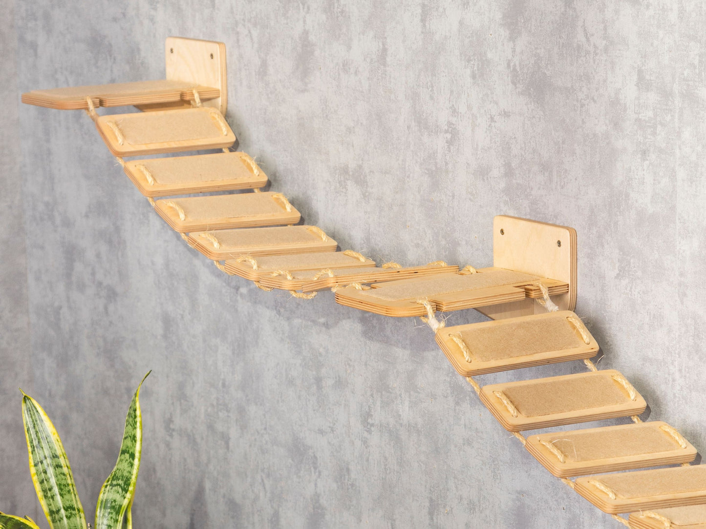cat wall furniture - wall shelves, cat bridge, cat climbing wall