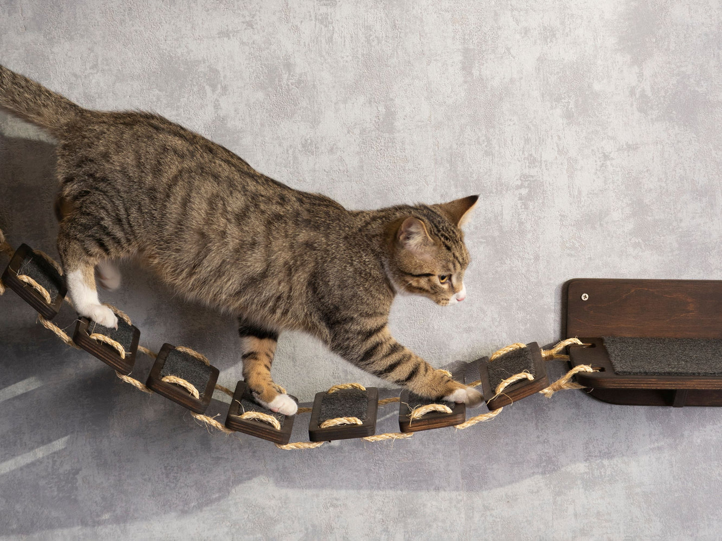 cat bridge, wall shelves, cat slow feeder, color wenge