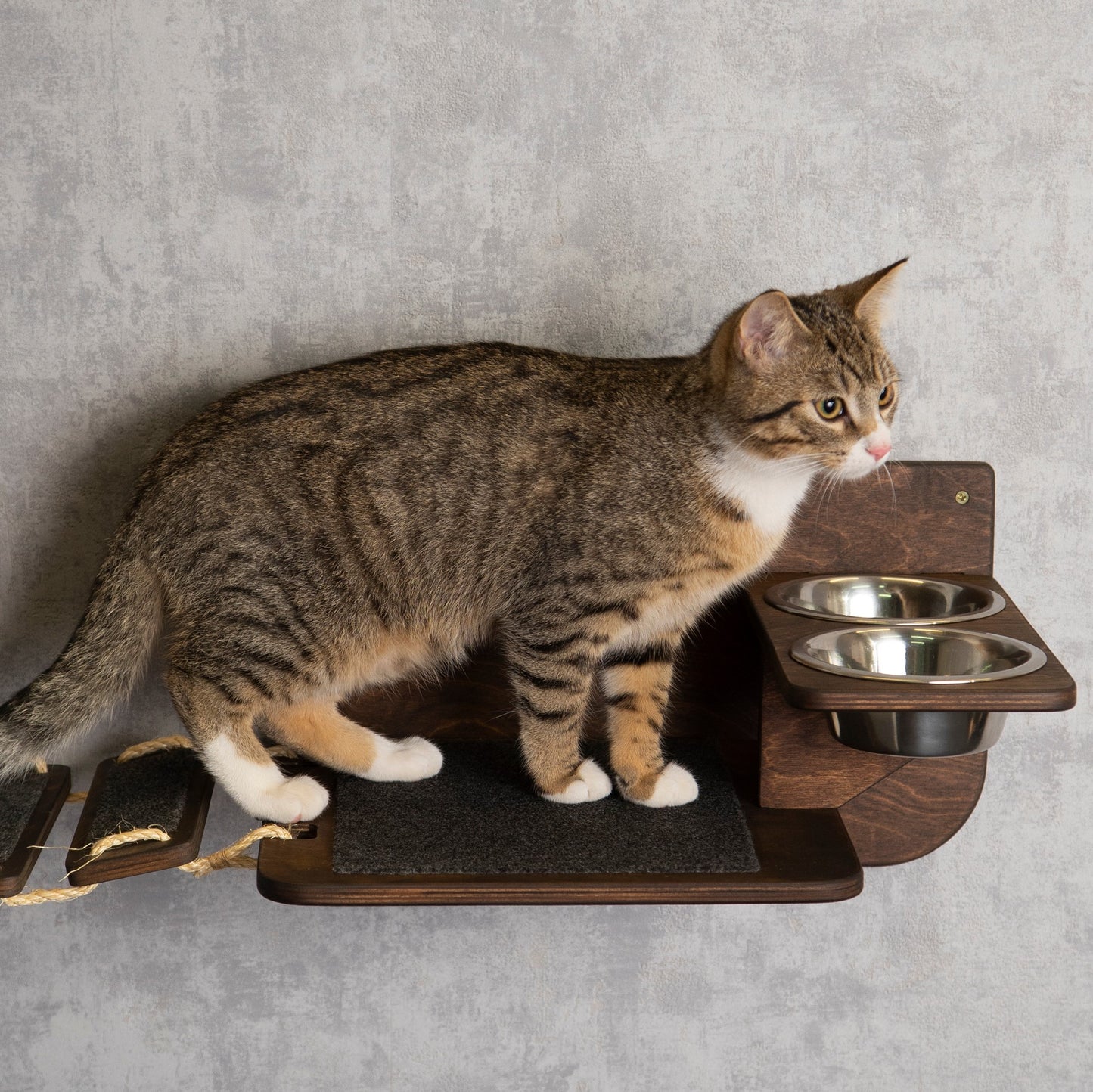 shelves for cats, cat feeder, cat shelves wall, slow feeder cat bowl, cat food bowl