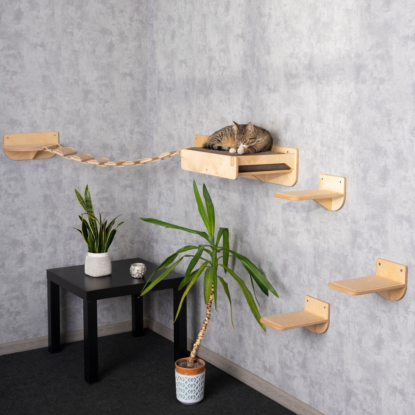 elevated cat bed, cat bed, best cat bed, cat bridge, cat wall shelves, cat steps, cat steps for wall, color clear, side view