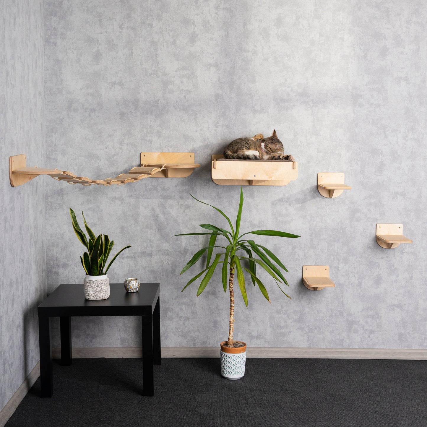 cat sale, cat bed, cat bridge, elevated cat bed, cat shelves for wall, cat steps for wall
