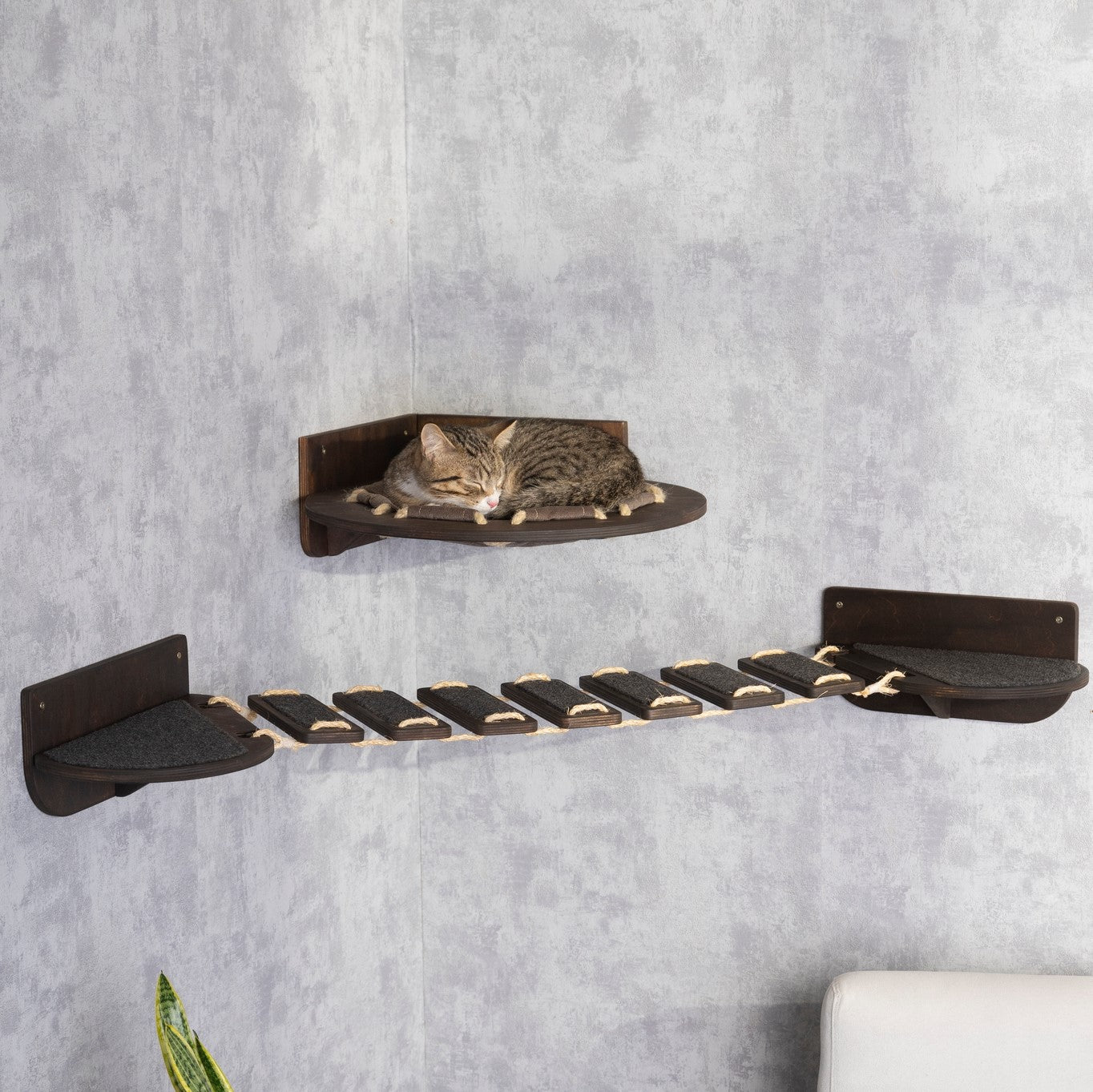 cat hammock, raised cat bed, donut cat bed, cat bridge, pet steps, wall shelves