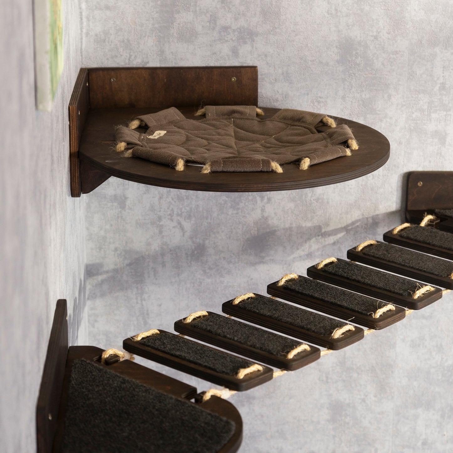 cat hammock, raised cat bed, donut cat bed, cat bridge, pet steps, wall shelves