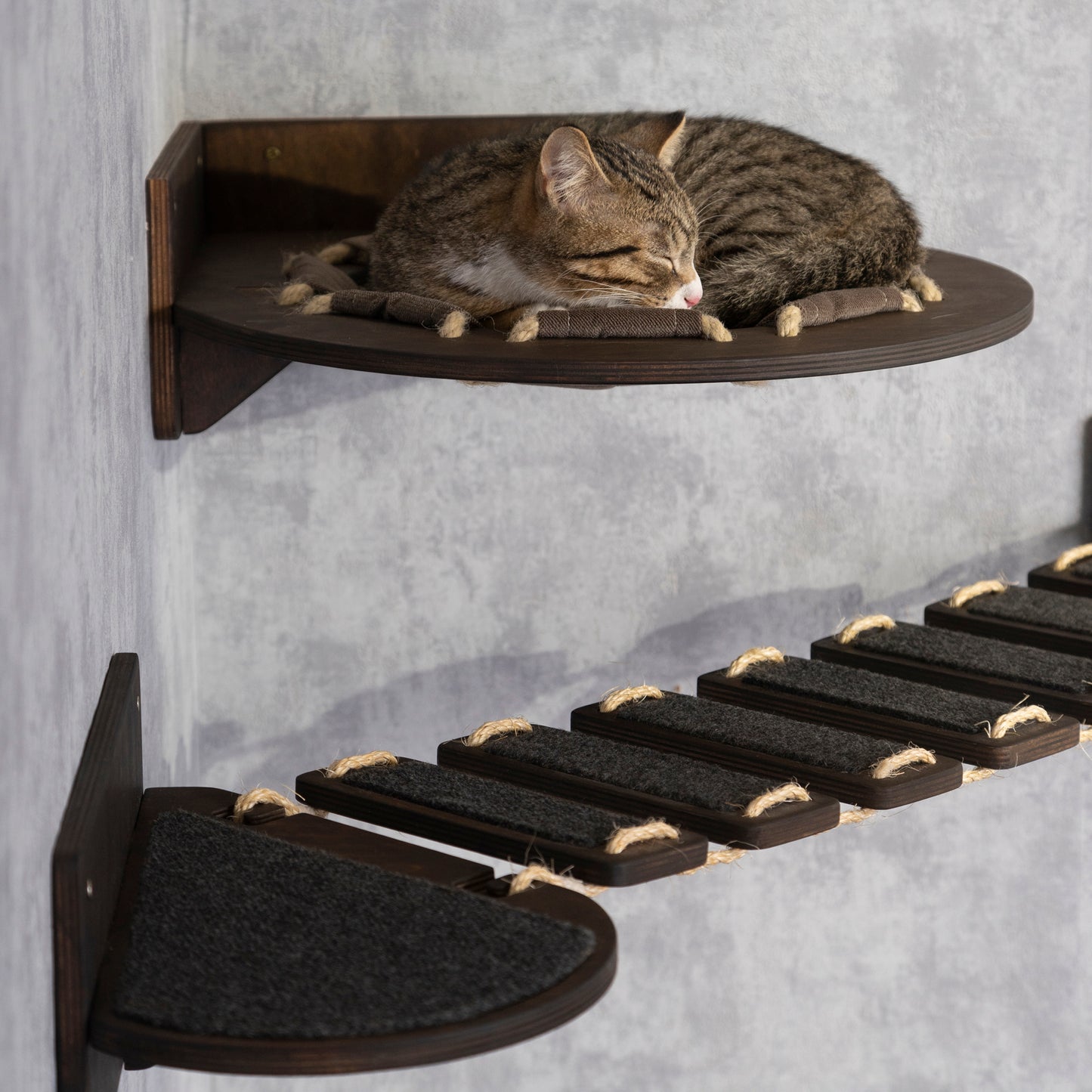 cat hammock, raised cat bed, donut cat bed, cat bridge, pet steps, wall shelves, left view