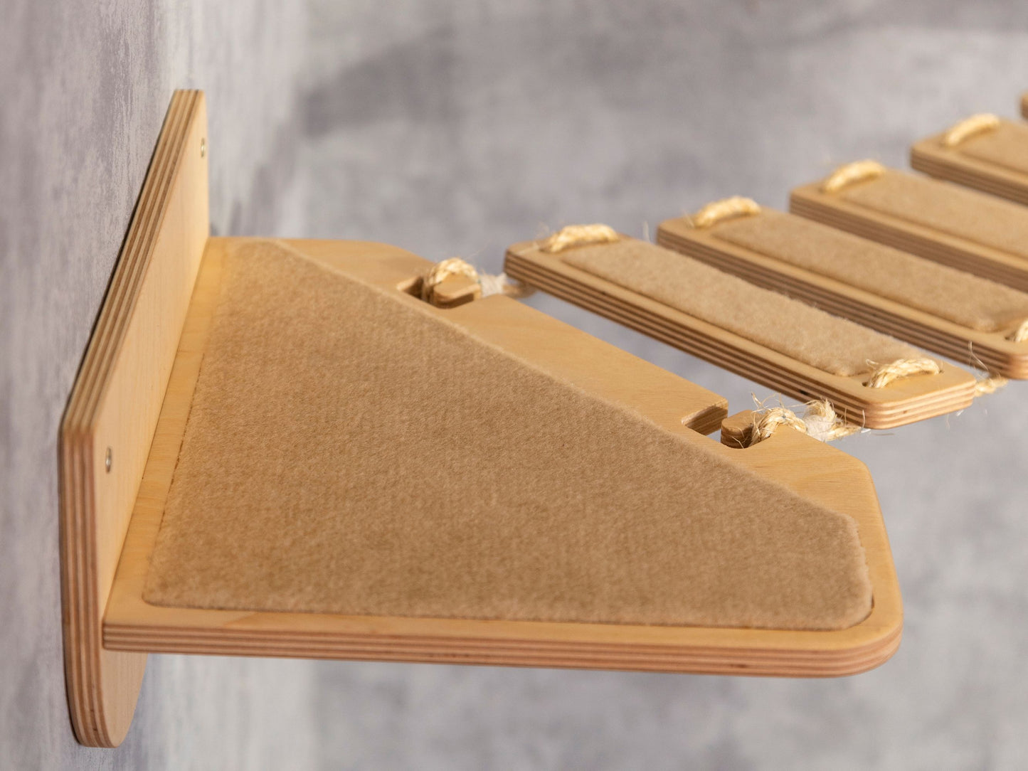 cat wall shelves