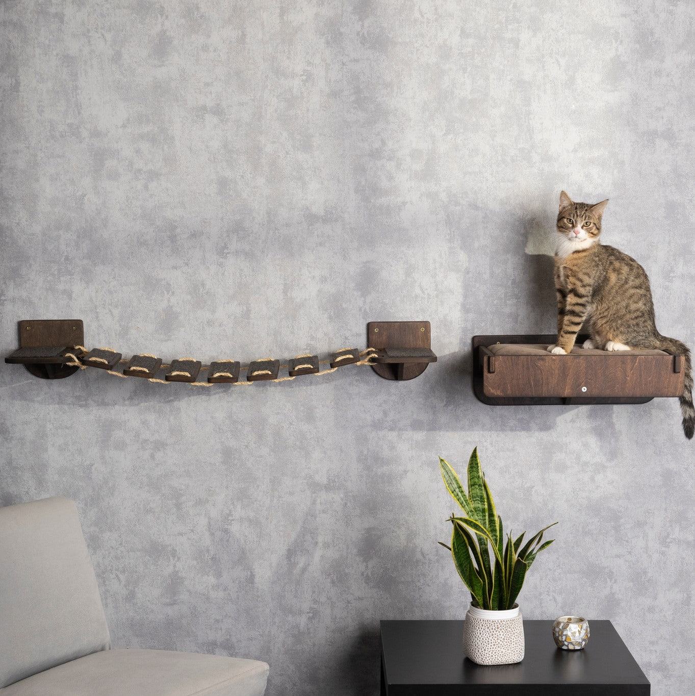 elevated cat bed, cat bridge, cat wall shelves