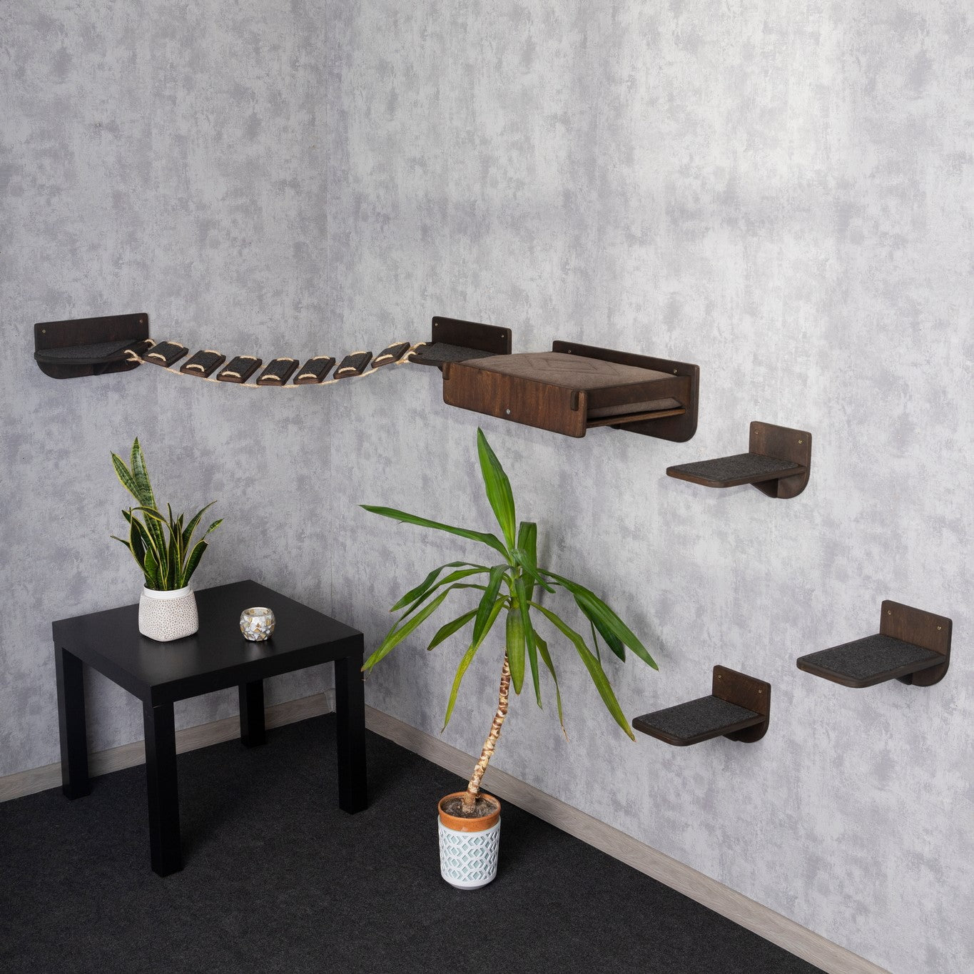 cute cat beds, cat beds for large cats, cat shelves, cat bridge, cat steps, cat steps for wall, color wenge, top view
