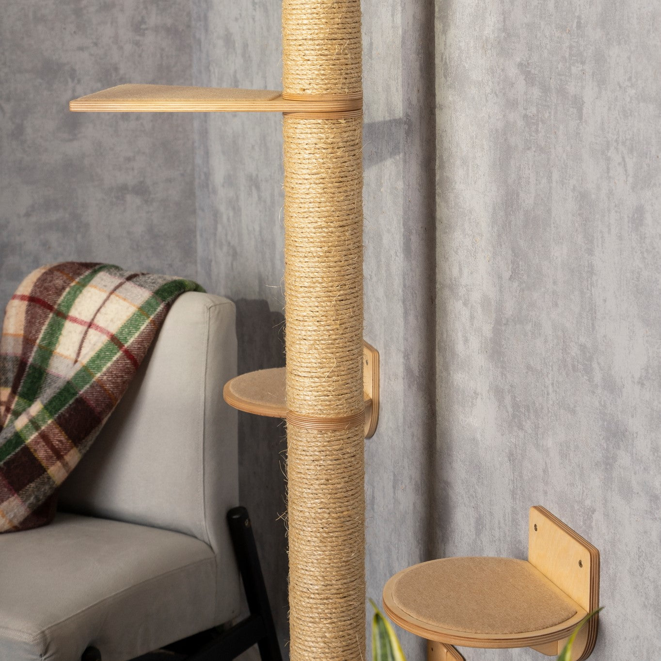 Multi-Level Cat Tree and Wall Mounted Shelves Set - Keeping Kitty Active and Content