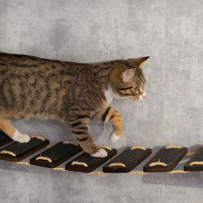 Unique Cat Bed and Bridge Combo: Provide Your Kitty with a Comfortable Spot to Rest and Play