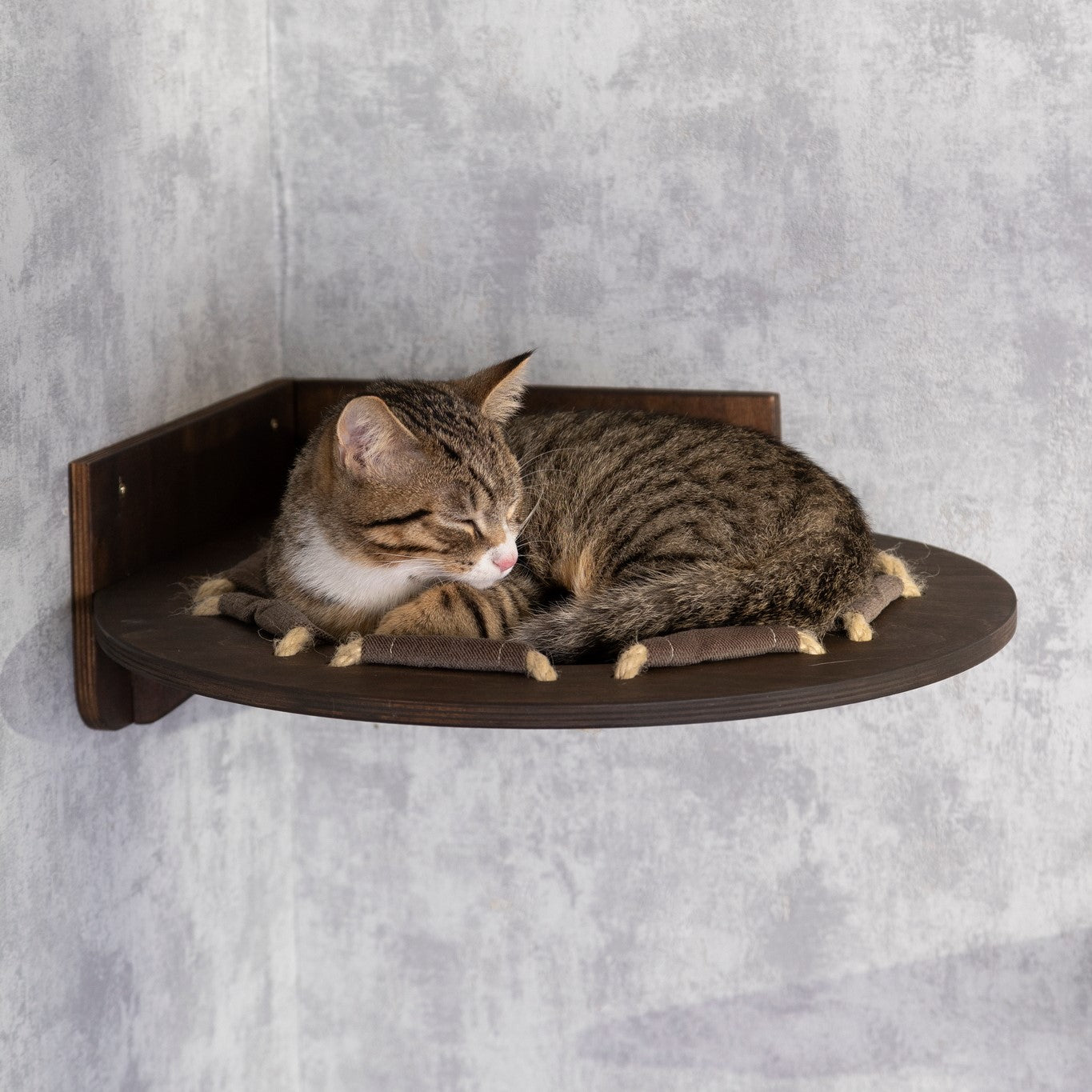 Cat Hammock with Bridge Design - The Ultimate Kitty Playground for Rest and Play