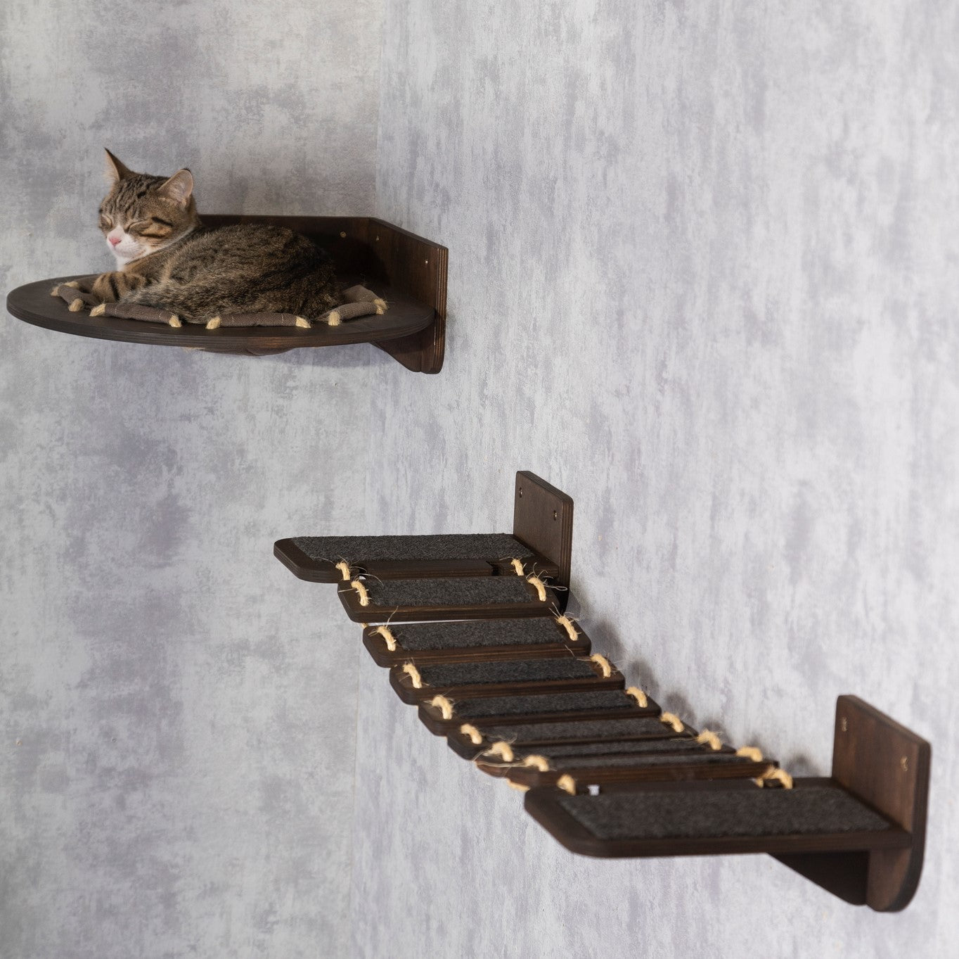 Cat Hammock with Bridge Design - The Ultimate Kitty Playground for Rest and Play