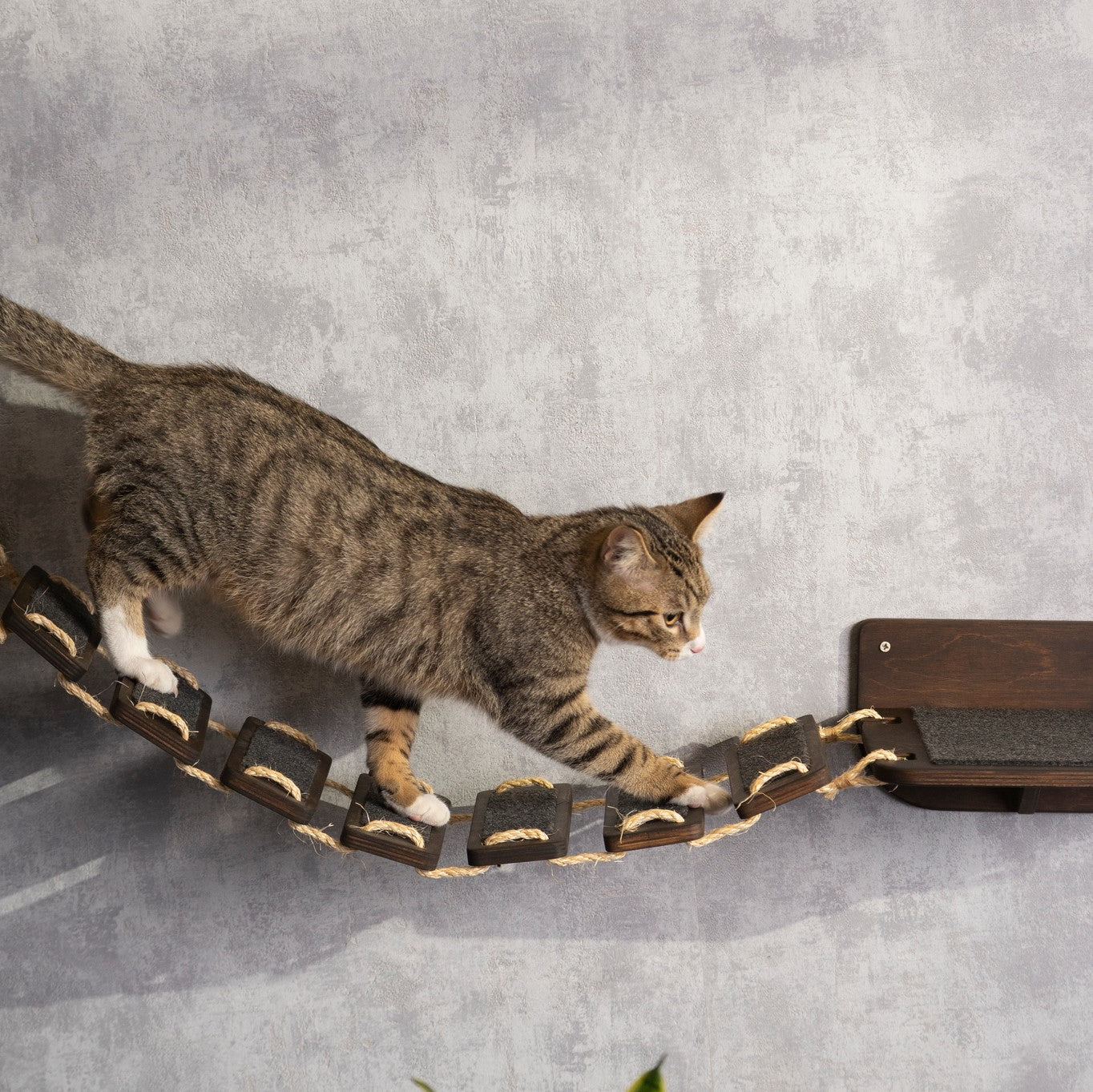 Cat Bridge with Integrated Feeder - A Functional and Decorative Addition to your Cat's Space!