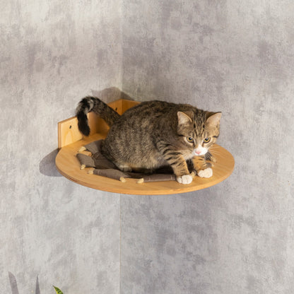 Handmade Cat Round Hammock - Stylish and Comfortable Hanging Bed for your Kitty