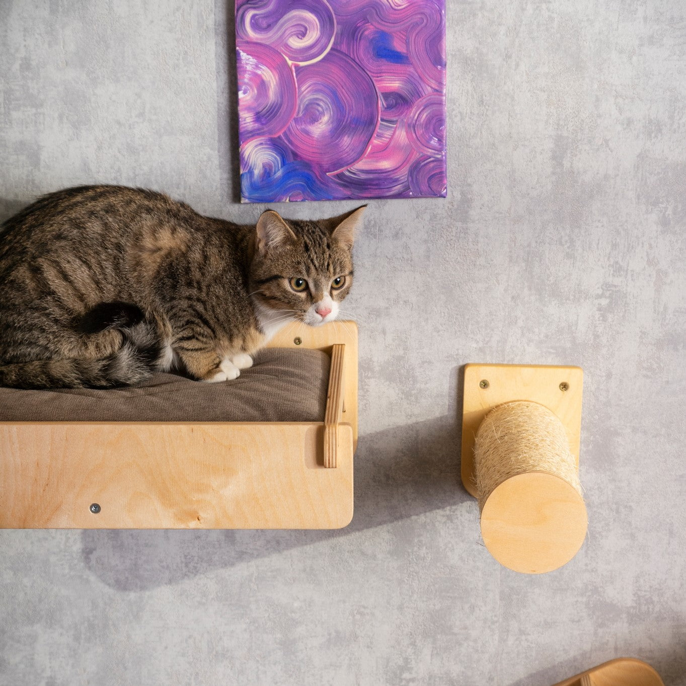 Multi-Functional Cat Bed: Feeder, Steps, and Scratching Post - Pamper Your Beloved Cat with the Ultimate Haven