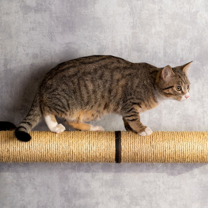 Premium Cat Sisal Steps - Durable Scratching Post for Kittens and Adult Cats