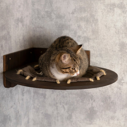 Ultimate Cat Haven: Round Hammock and Steps Combo for Your Perfect Companion