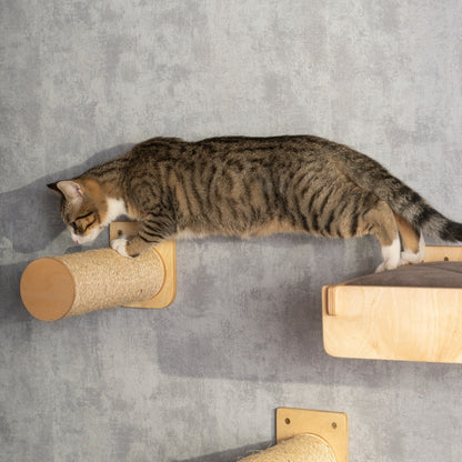 Premium Cat Bed, Cat Hammock, with Sisal Steps - Ultimate Comfort and Play Combo