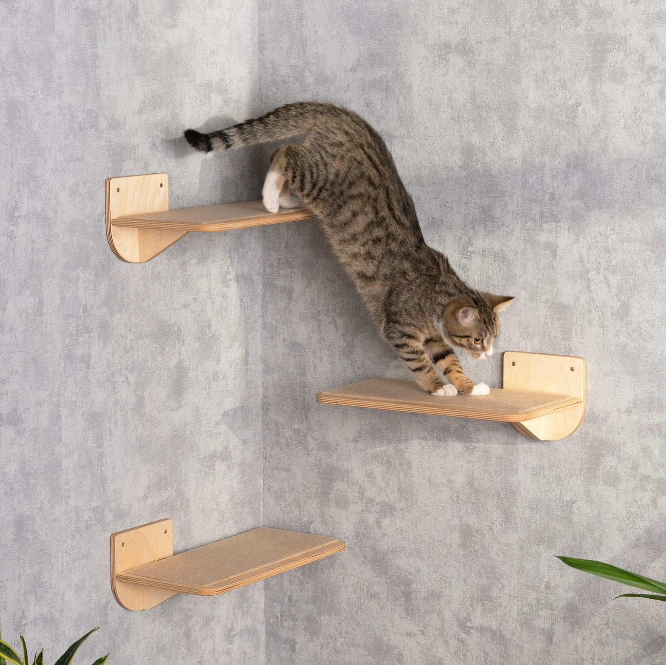 Handcrafted Floating Cat Shelves - Stylish and Space-Saving Wall Mount Furniture for Your Feline Friend