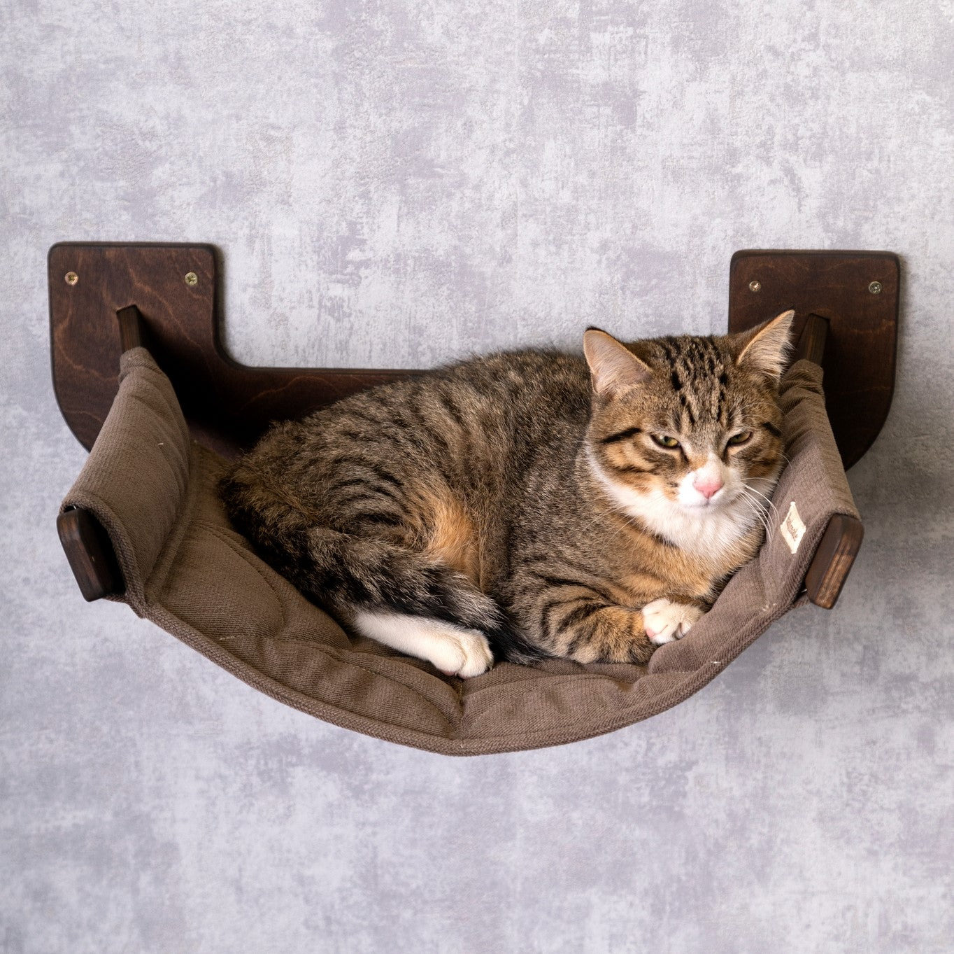 Stylish Cat Hammock and Cat Steps Set - Help Your Feline Reach New Heights in Comfort