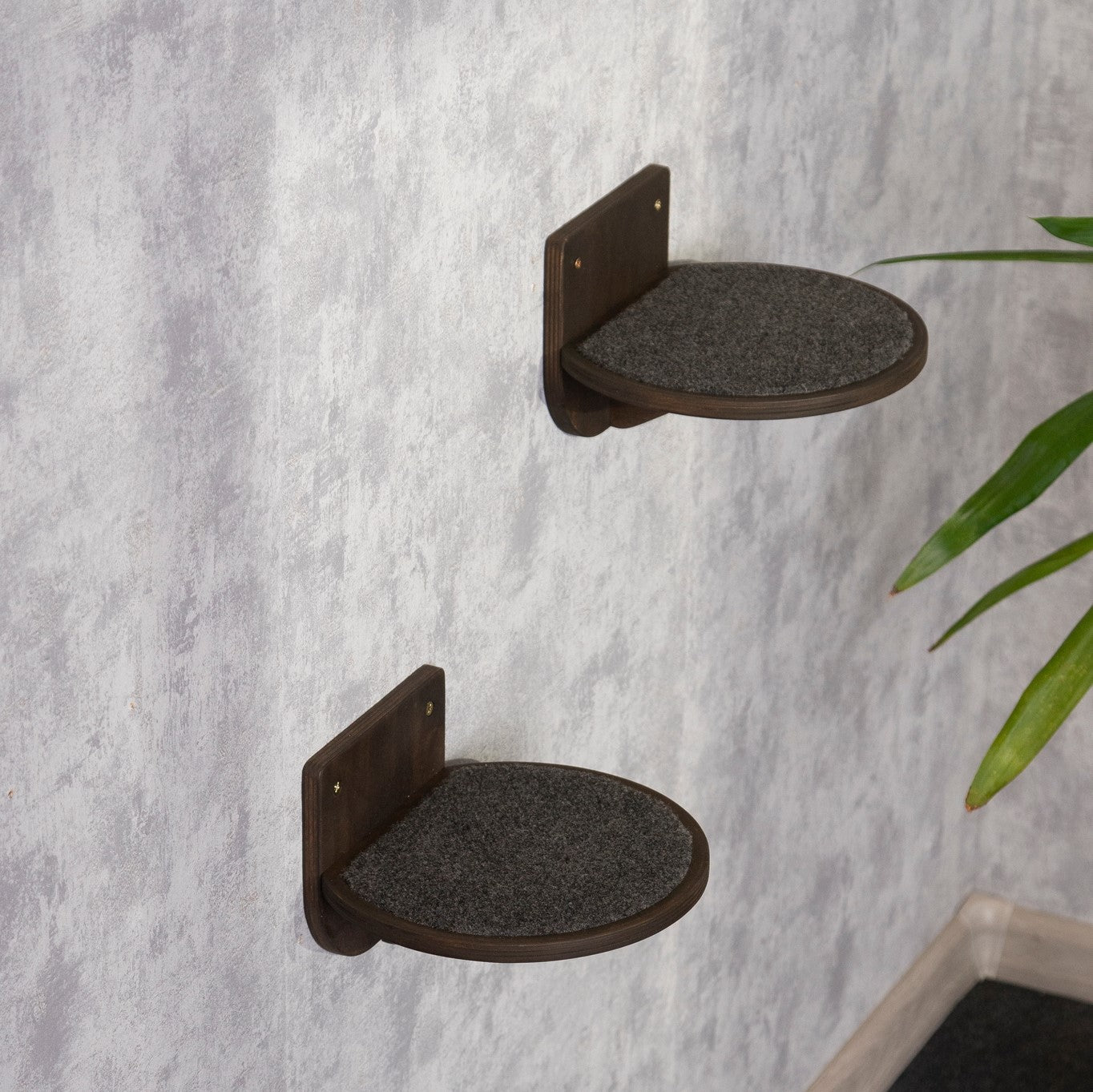 Cat shelf step round / Create a Cat-Friendly Environment with these Wall-Mounted Perches