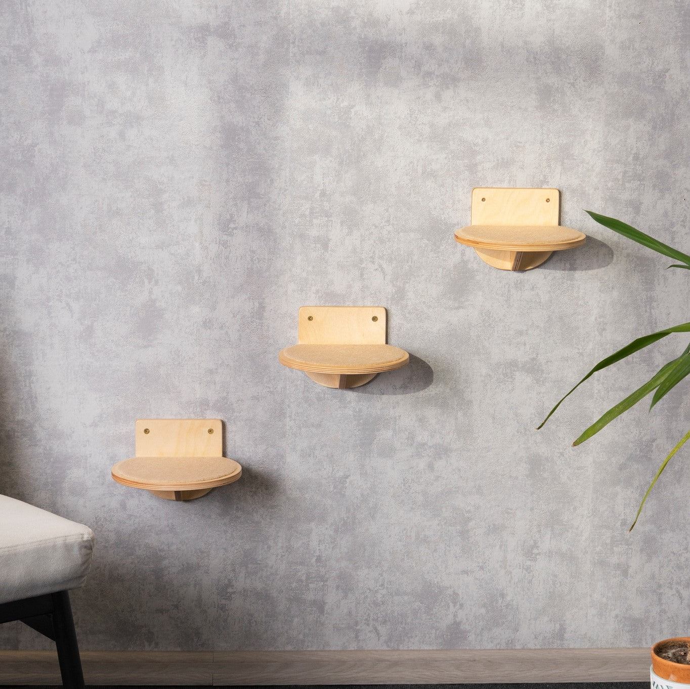 Cat shelf step round / Create a Cat-Friendly Environment with these Wall-Mounted Perches