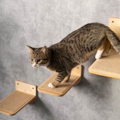 Multi-functional Cat Hammock: Feeder and Steps Included - Spoil Your Feline Friend!