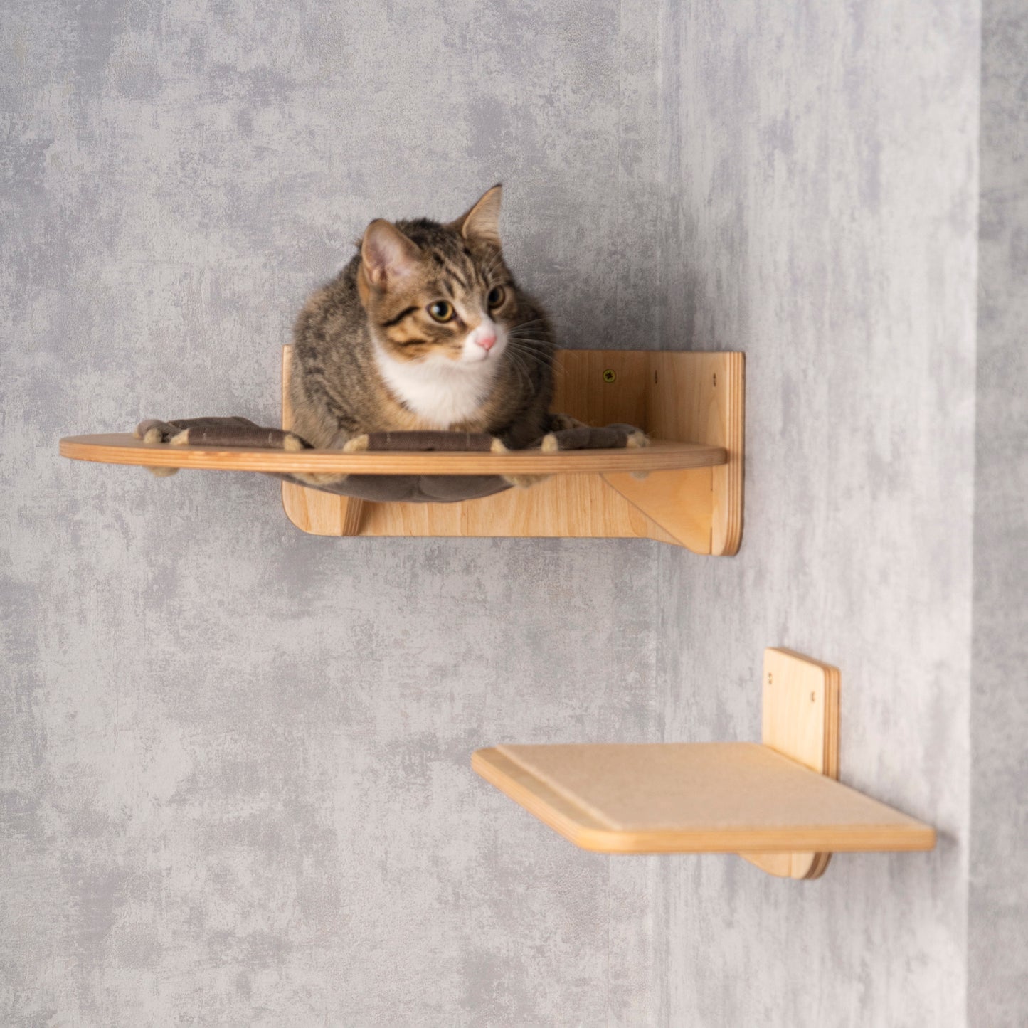 Multi-functional Cat Hammock: Feeder and Steps Included - Spoil Your Feline Friend!