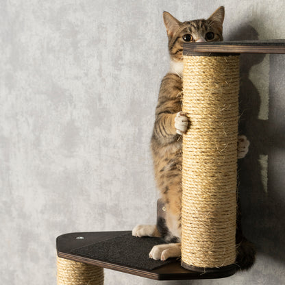 Luxurious Cat Tree, Car Hammock & Cat Shelves: Spoil Your Feline Friend with Style