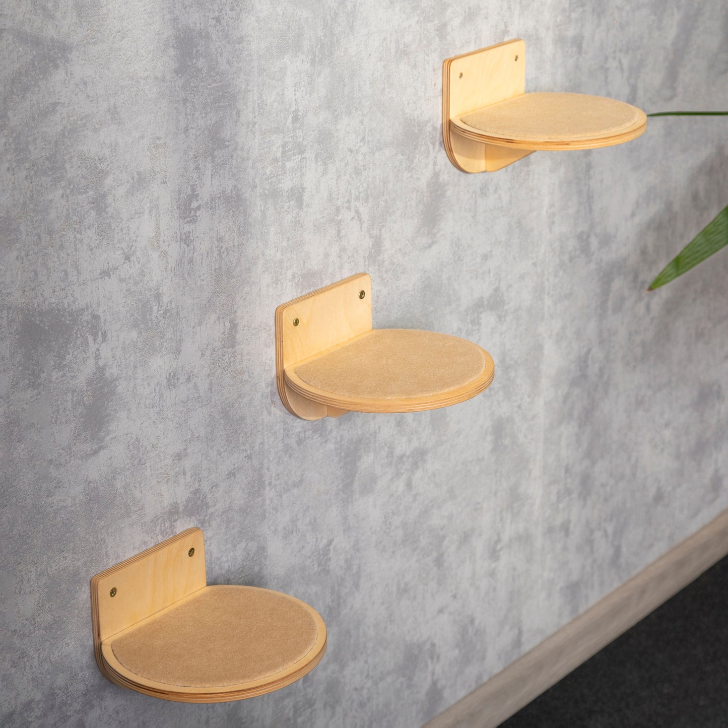 Cat shelf step round / Create a Cat-Friendly Environment with these Wall-Mounted Perches